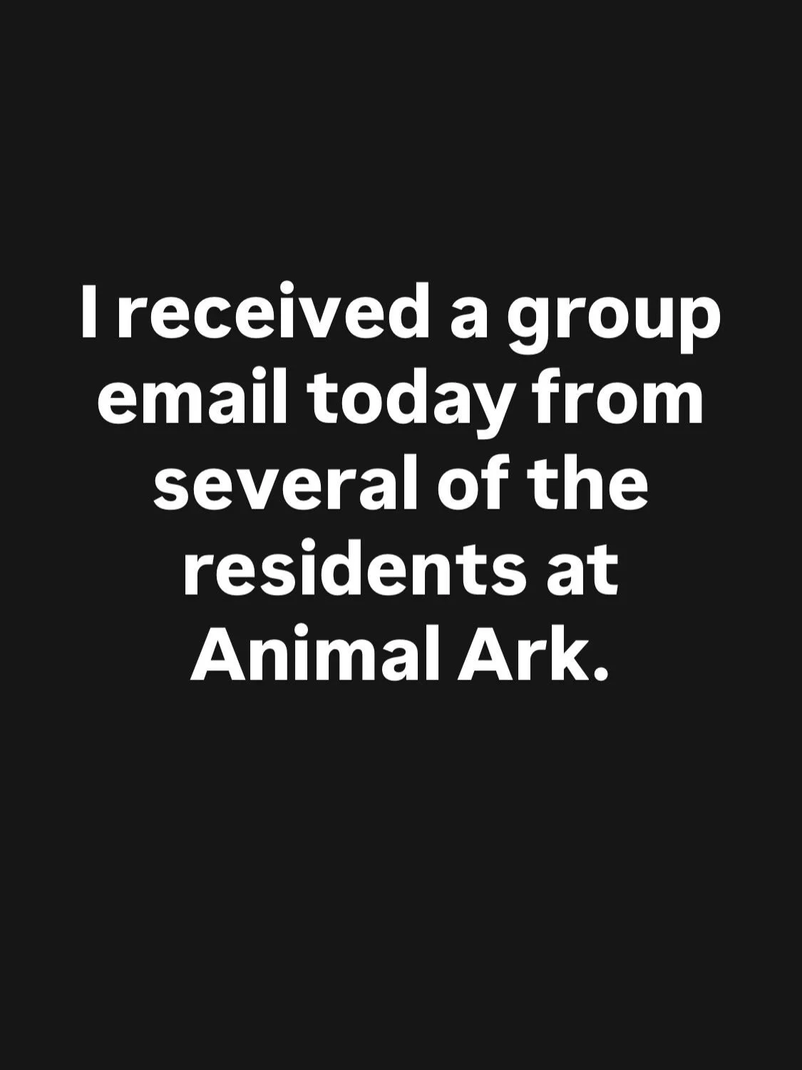 They&rsquo;re giving main character energy. Don&rsquo;t you think?! 🤩 I love them all! And I love Animal Ark! 

📍We are pawsitively excited to be a vendor (alongside dozens of other local small businesses!) at the 2026 Summer Fest at @animalark_ren