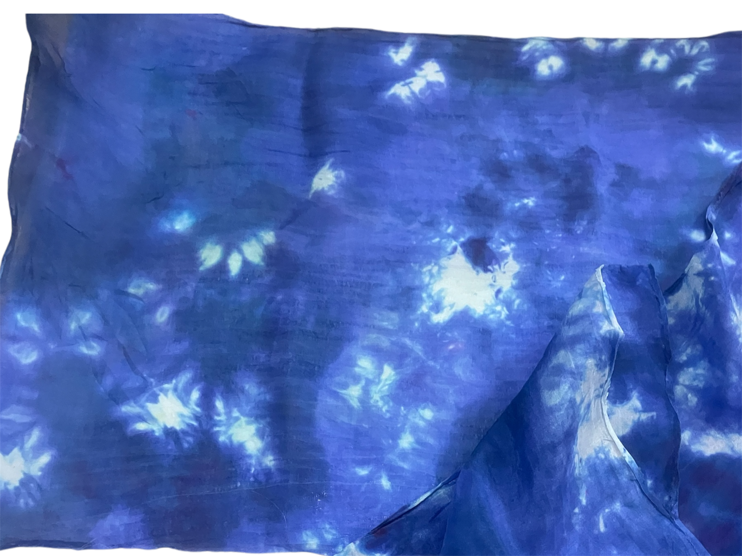 Cobalt habotai 2.PNG