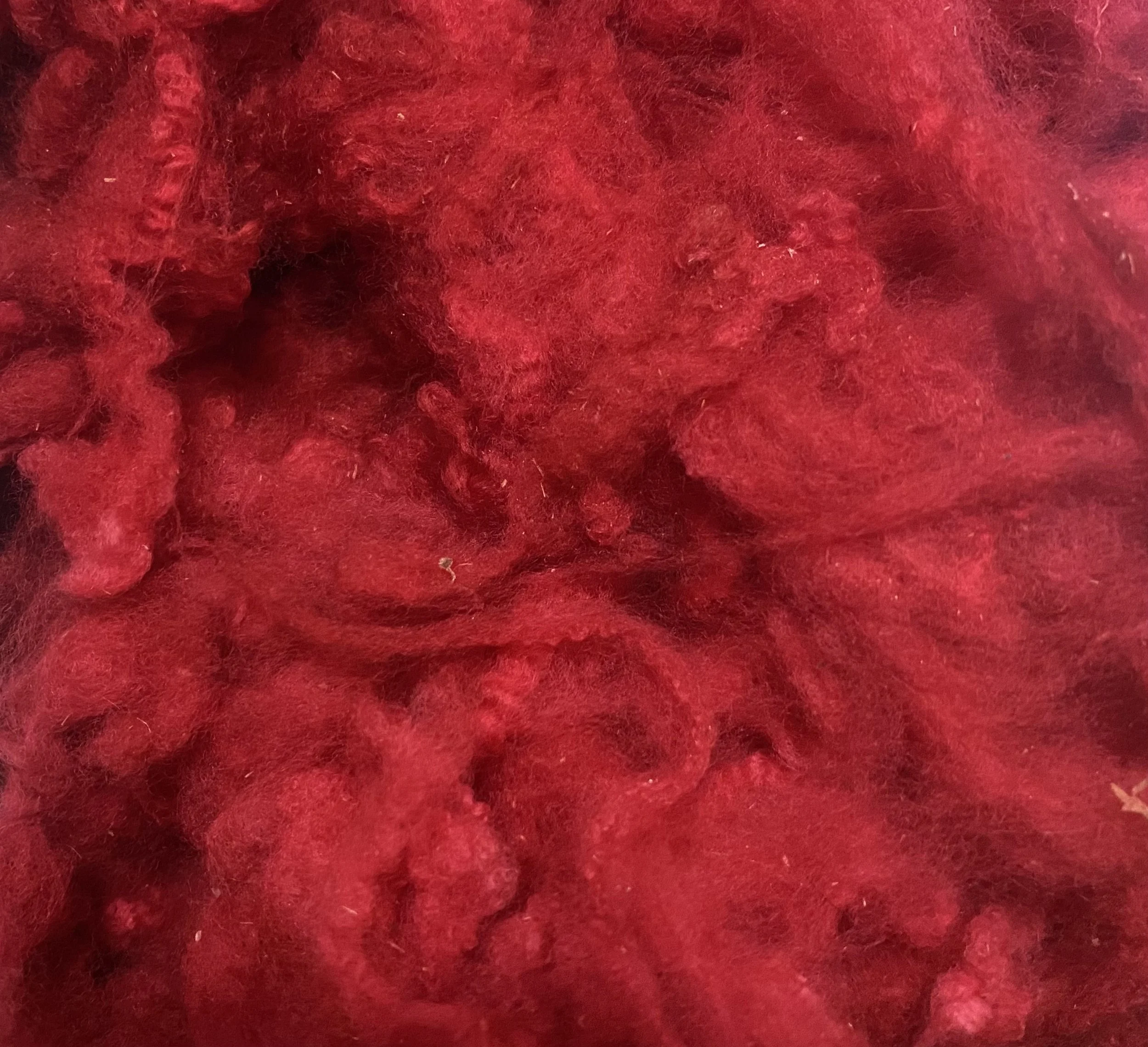 Fiber, Cotswold-Merino, Crimson close-up.jpg