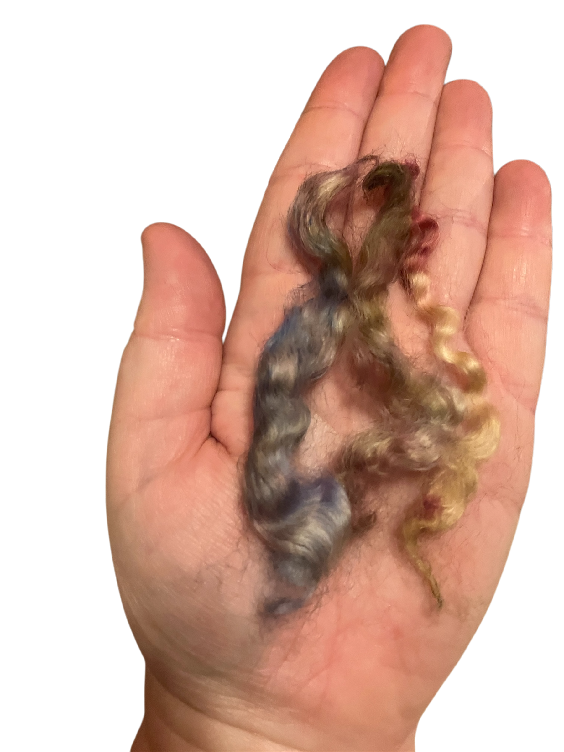 Born to the Purple Detail (Wensleydale).PNG