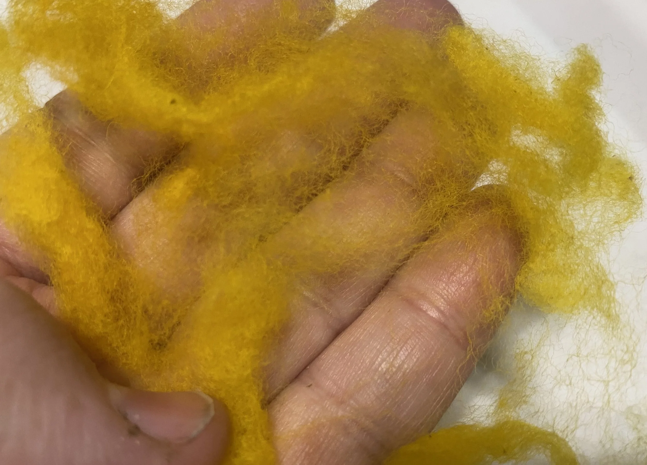 Fiber, Cotswold-Merino, Jonquil 3.jpg