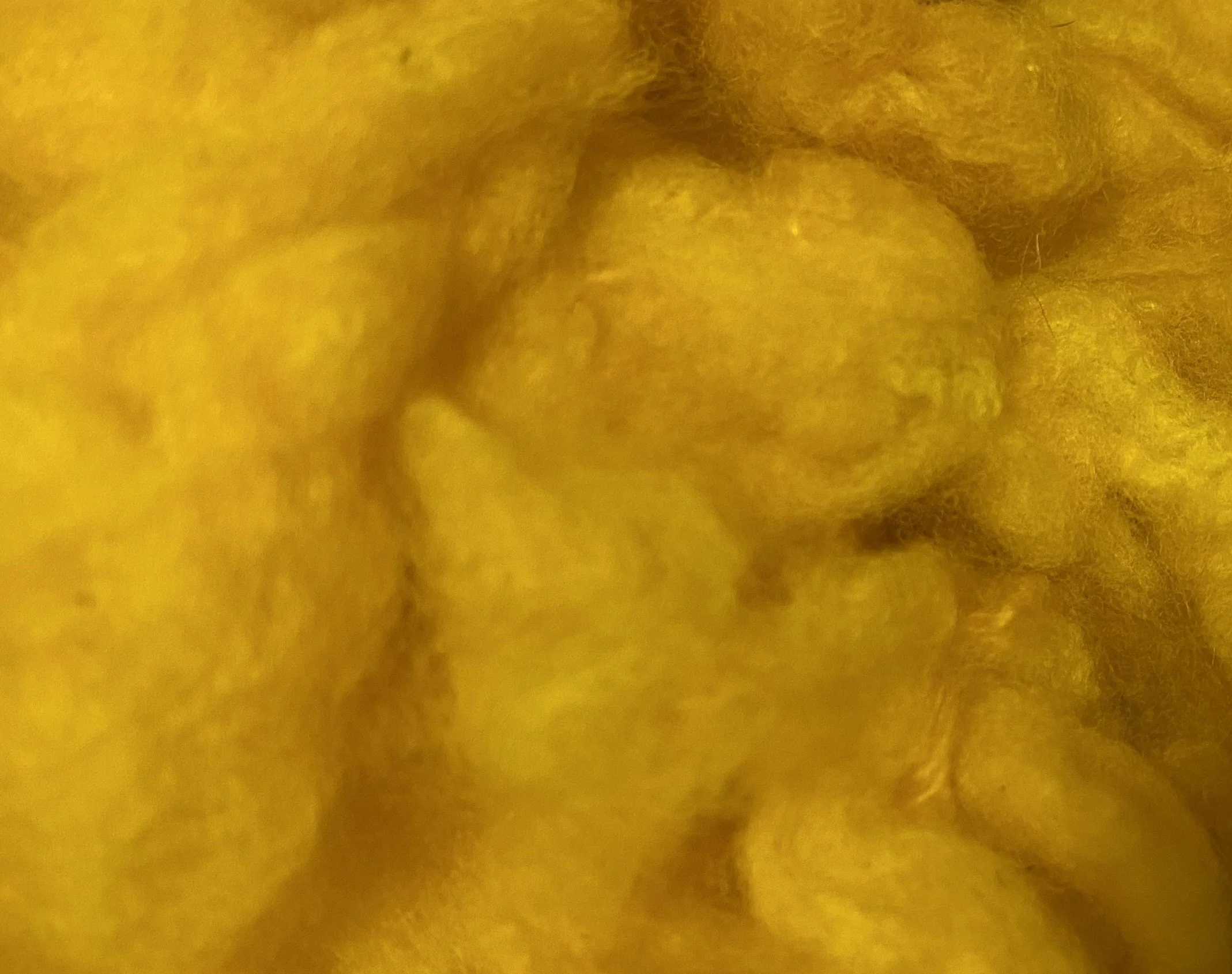 Fiber, Cotswold-Merino, Jonquil 2.jpg
