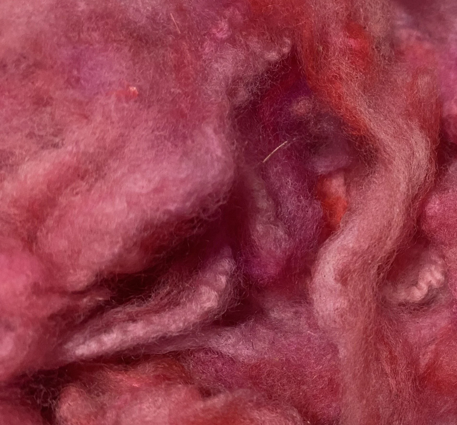 Fiber, Cotswold-Merino, Magenta 2.jpg