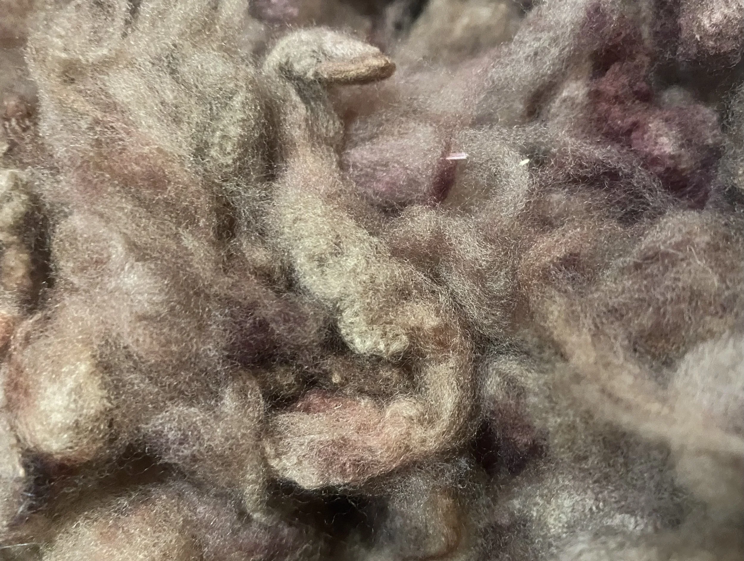 Fiber, Cotswold-Merino, cocoa brown #2.jpg