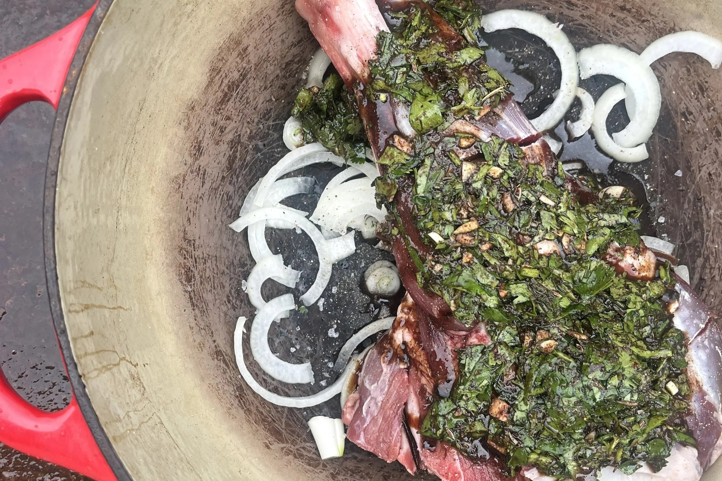 Lamb Shanks with Preserved Lemon &amp; Herbs