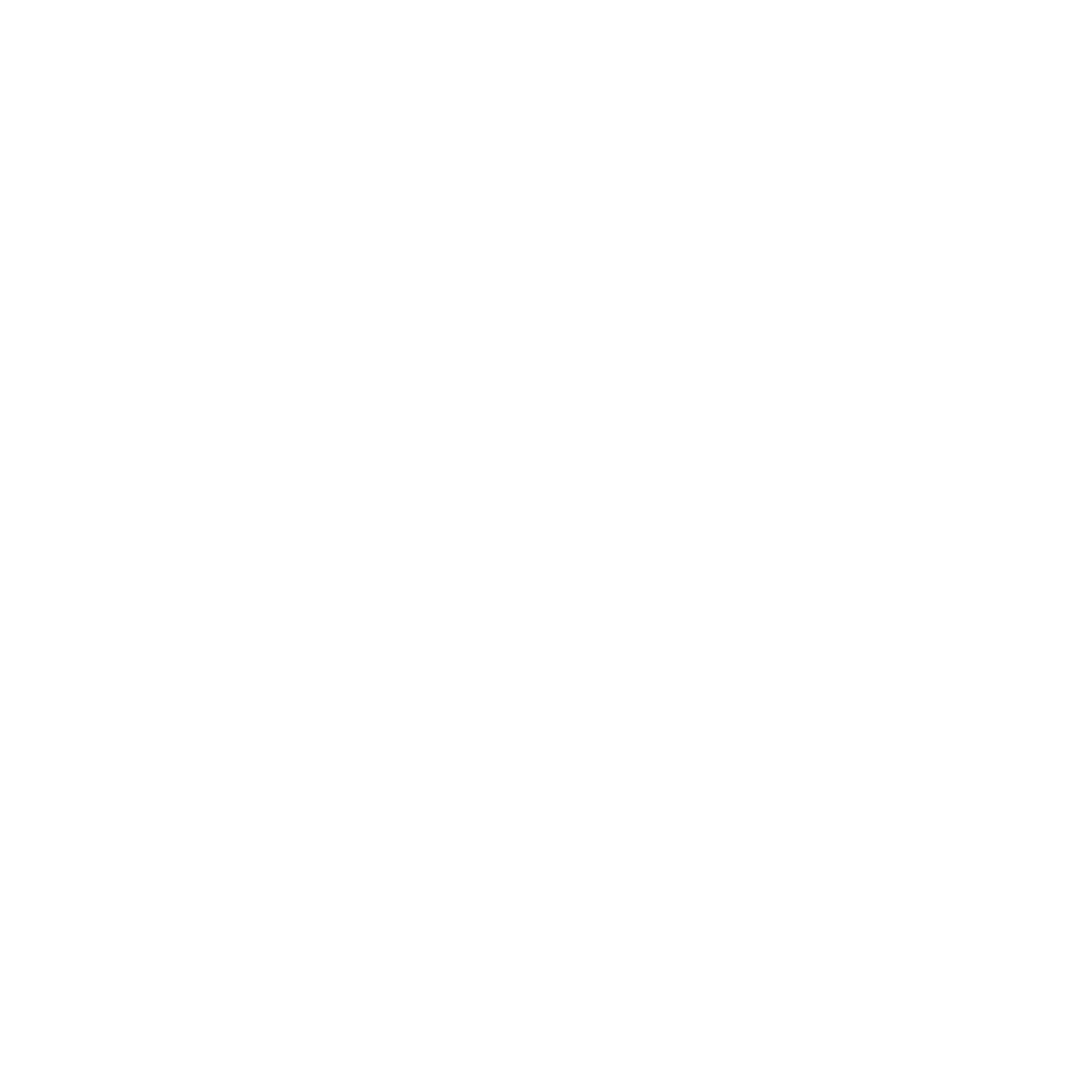 san joaquin logo.png