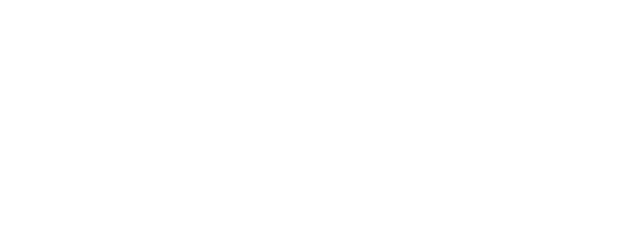 RIS Logo_White-Final.png