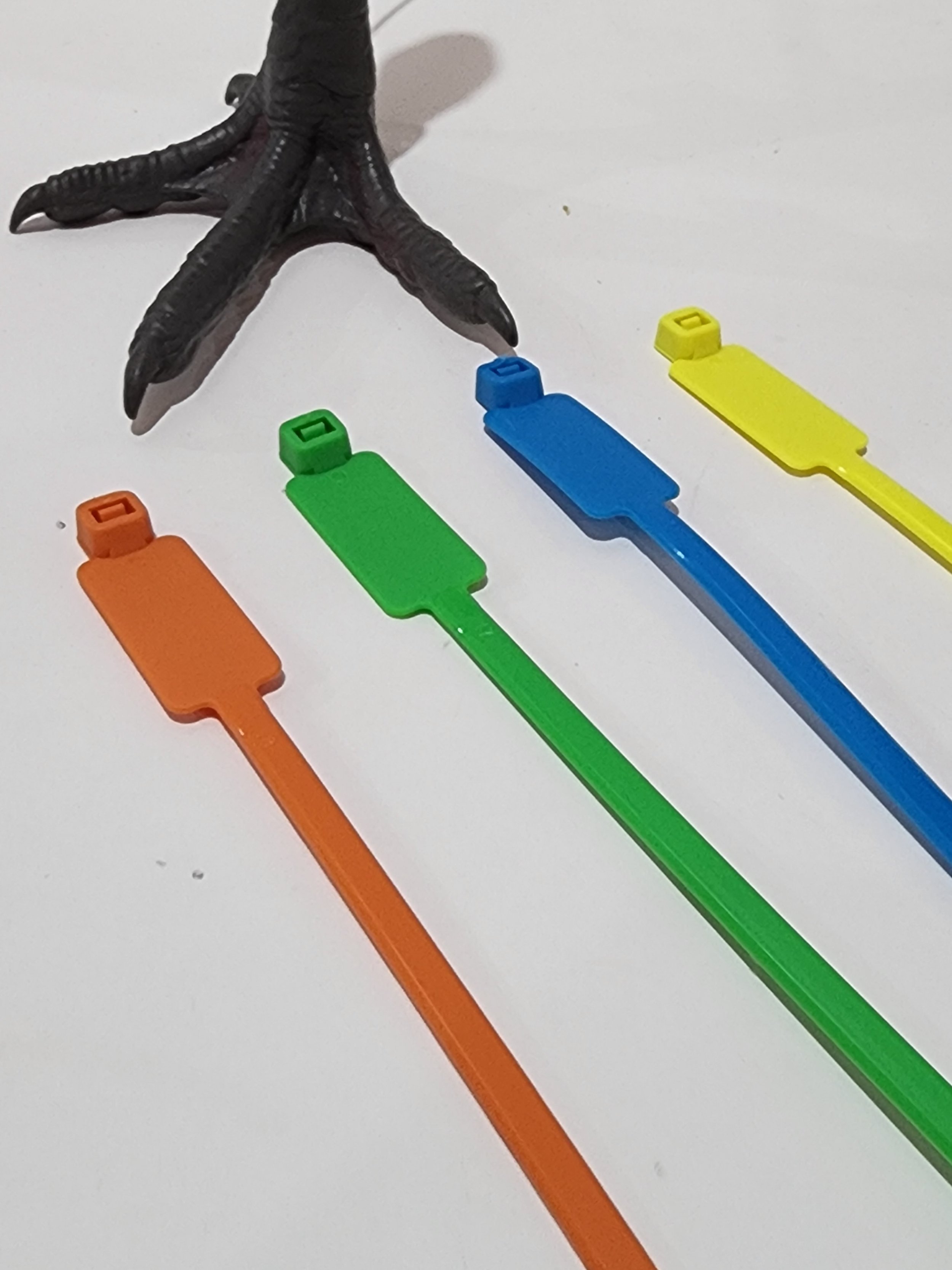 13mm Plastic Leg Tie Bands