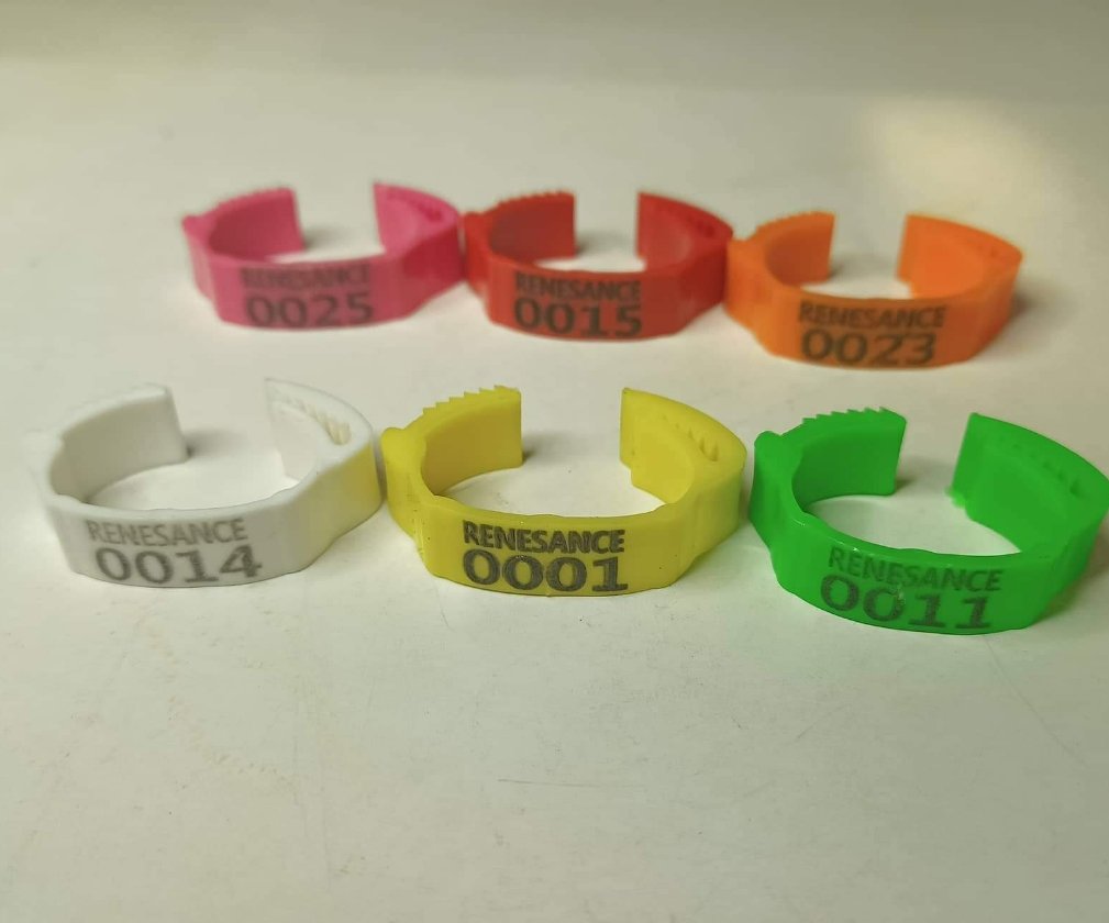 3f6047cf-5ce1-4c72-9911-13055a9b88bd.jpg