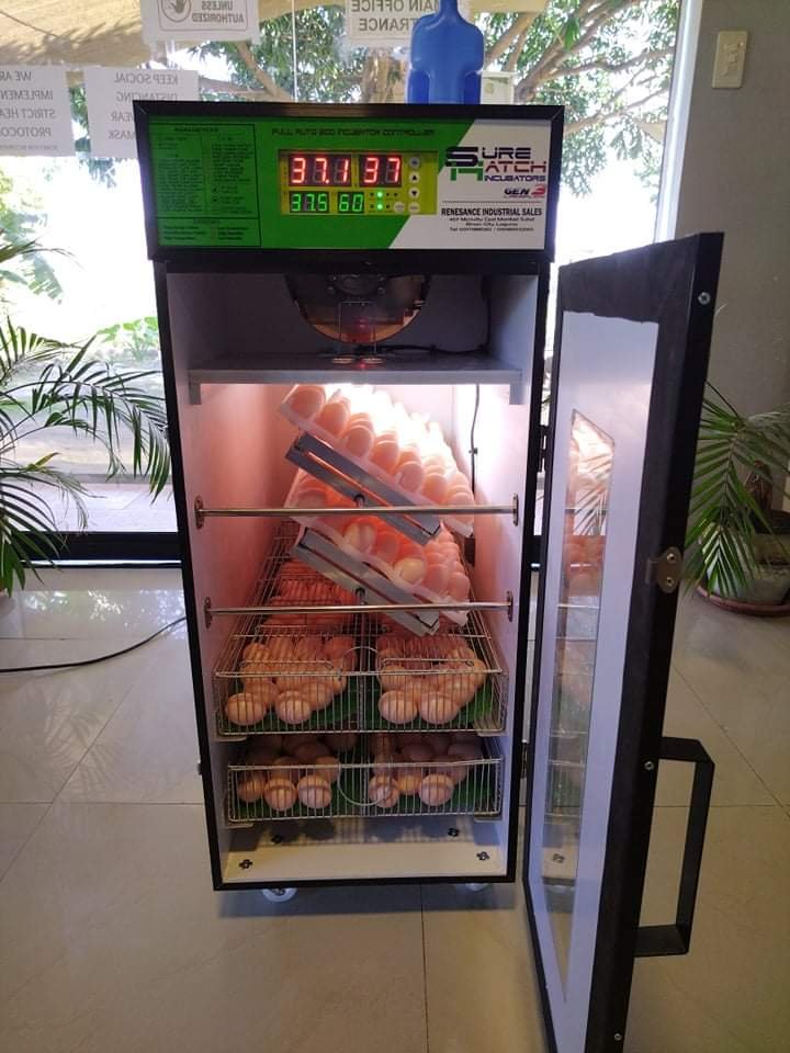 received_1014453186161039.jpeg