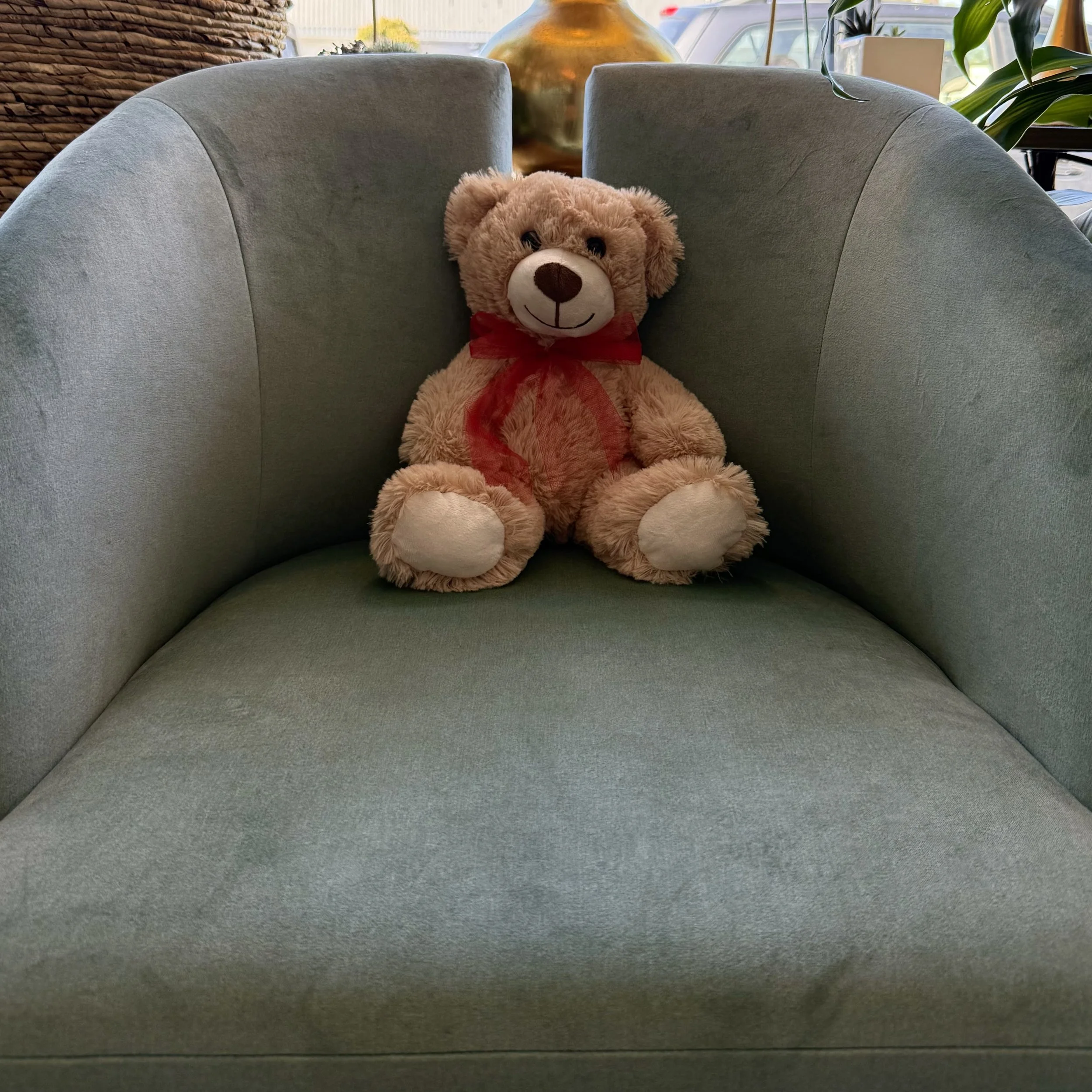 small teddy bear.jpeg