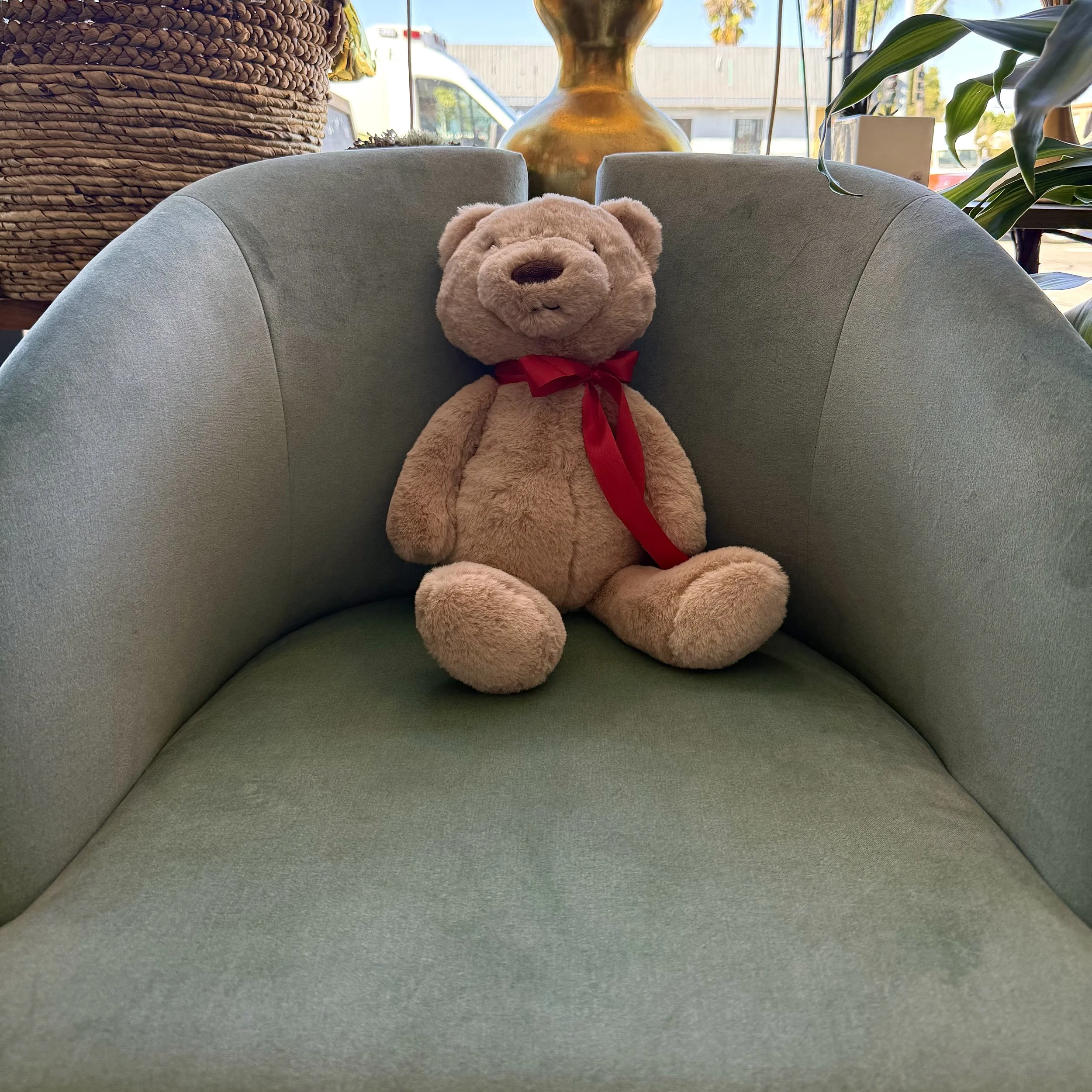 medium teddy bear.jpeg