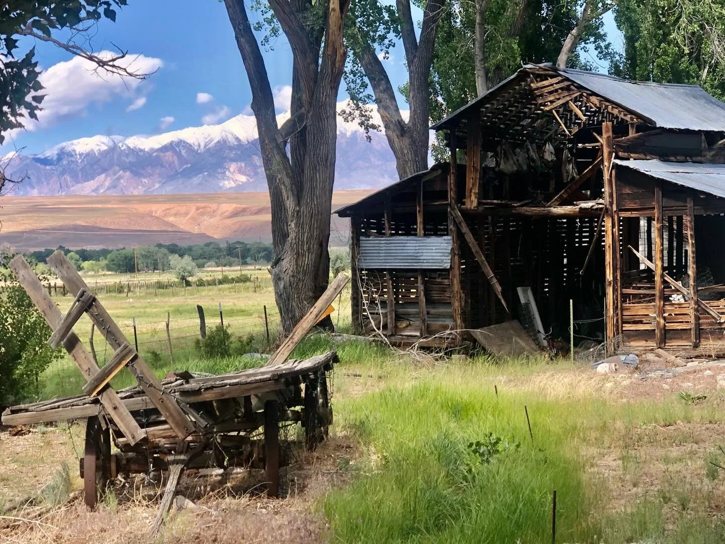 Simple rural beauty near Rovana
