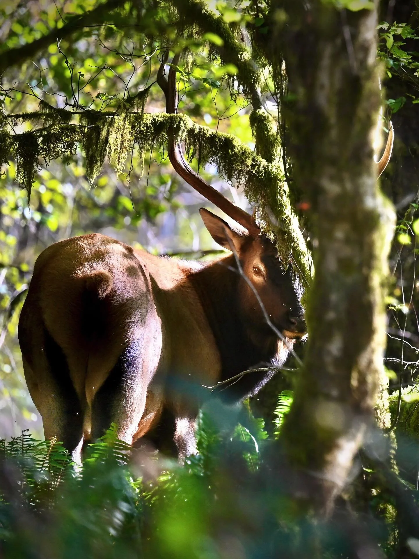 Cheeky fellow from 100 yards