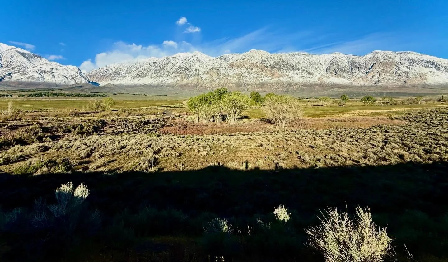 Morning run views after the storm