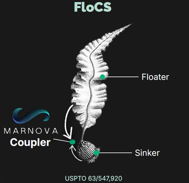 flocsdiagram1.png
