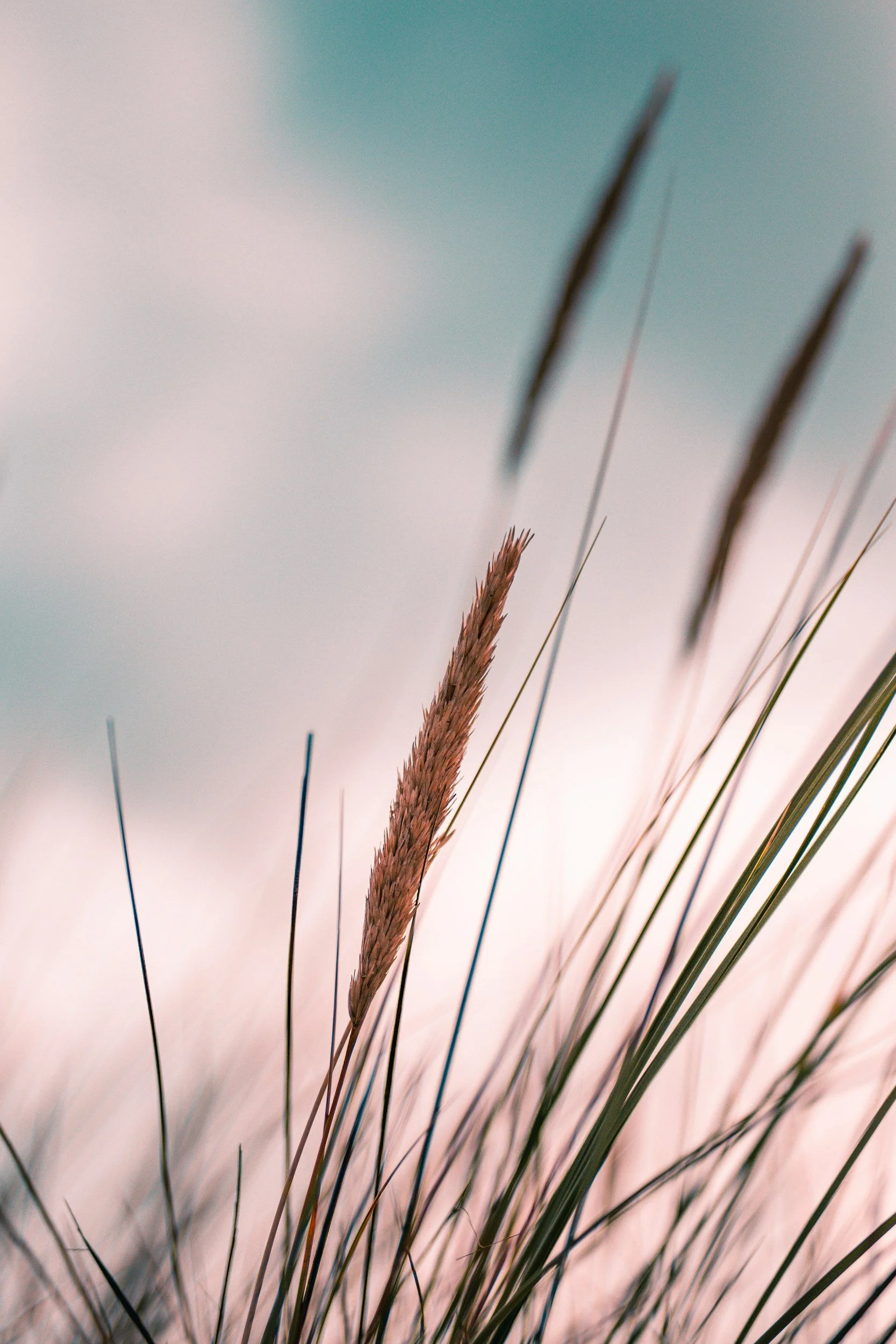 unsplash-image-ZKppqevcEFY.jpg