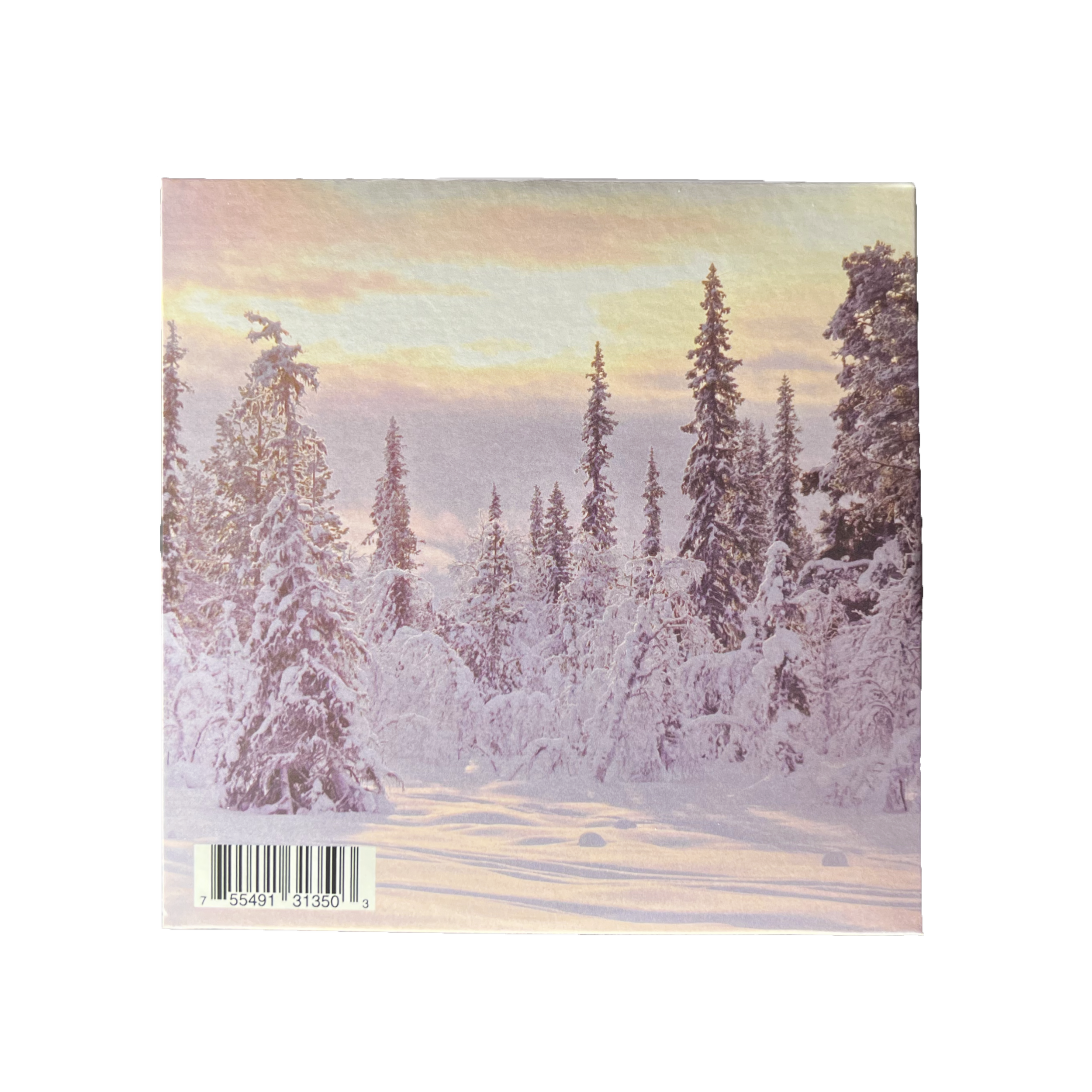 Midnight Dickbiter CD back no background.png