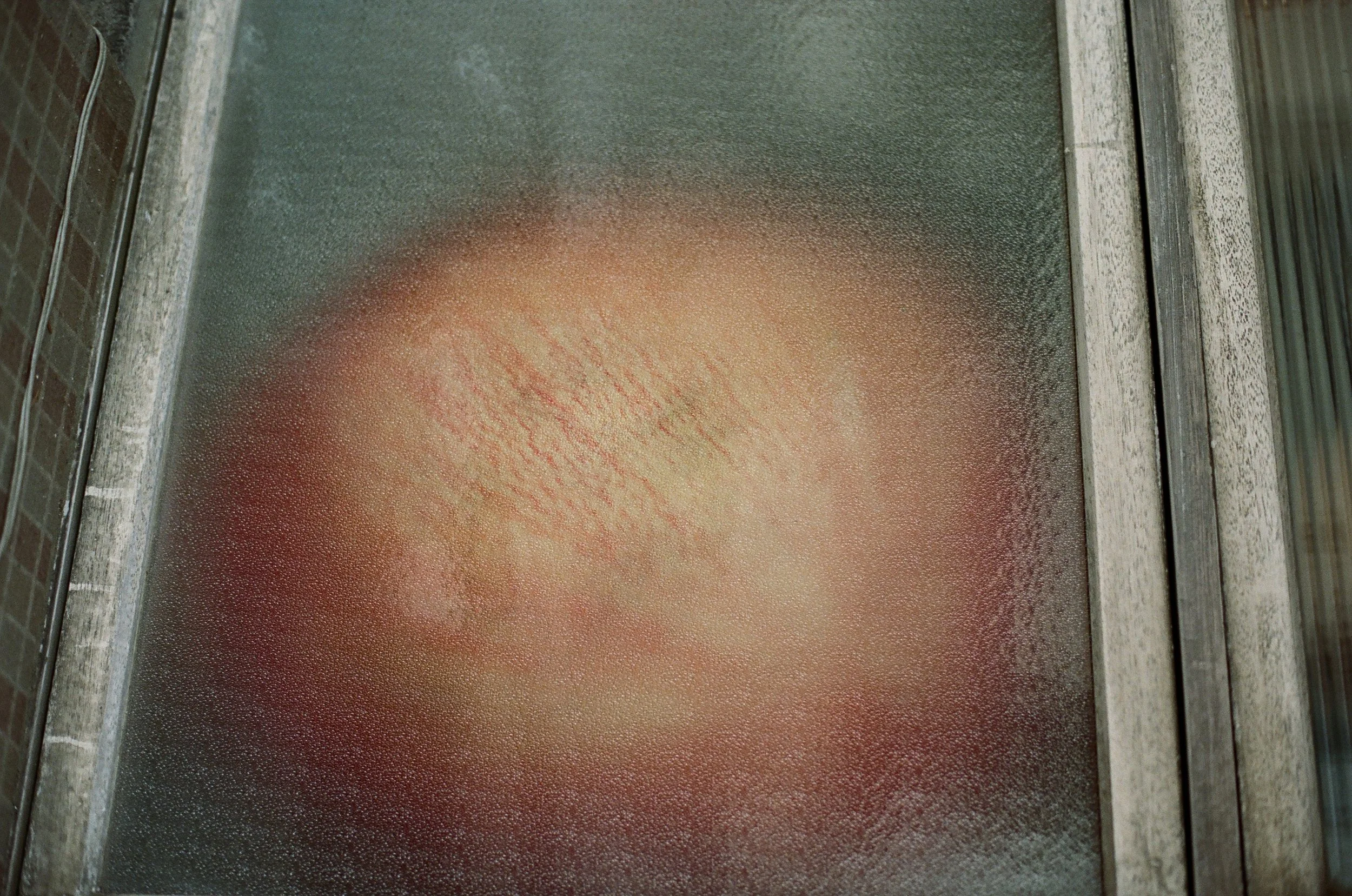 000008460009.jpg