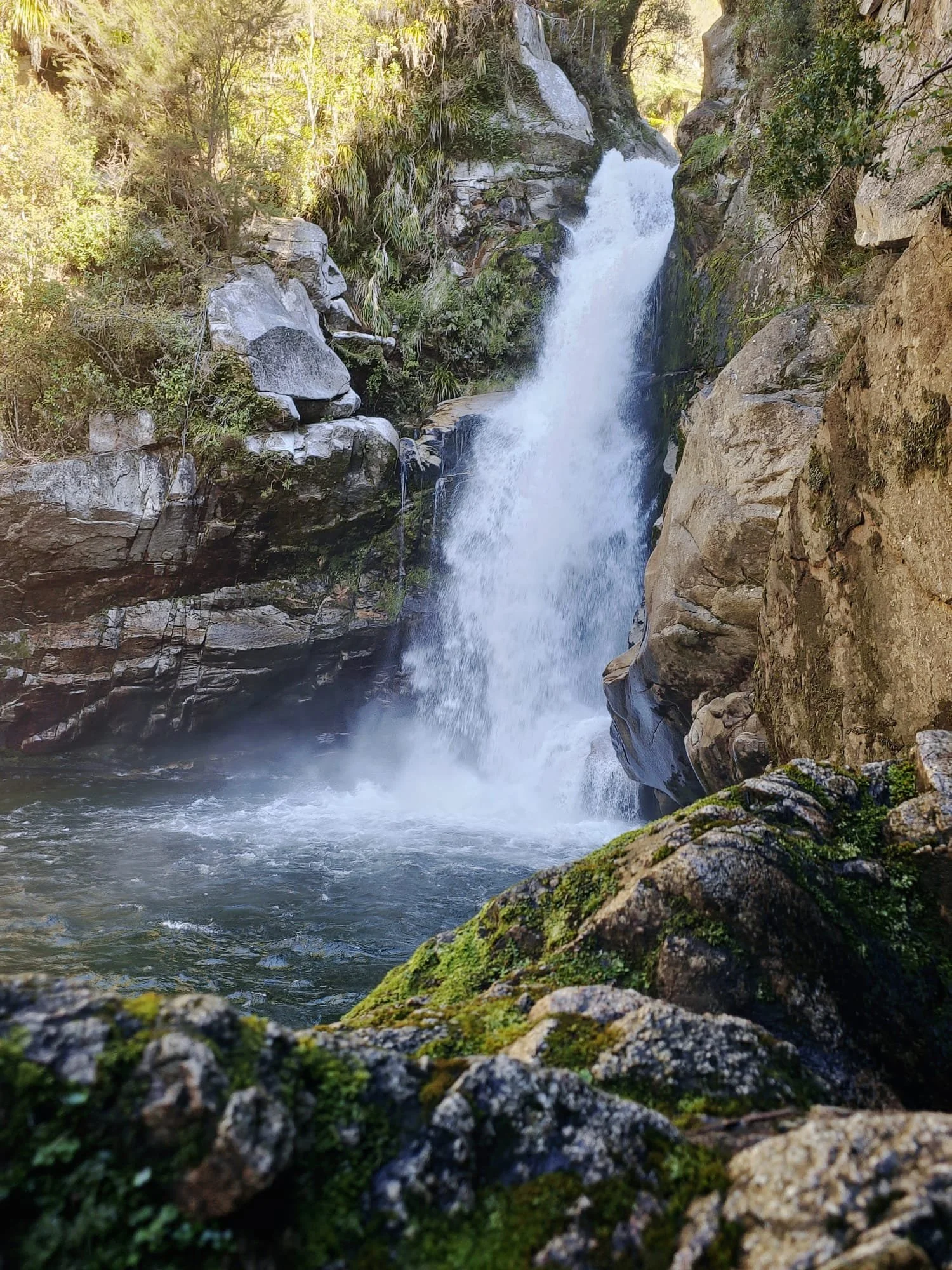 WhatsApp Image 2025-09-12 at 22.52.29_9f01e195.jpg