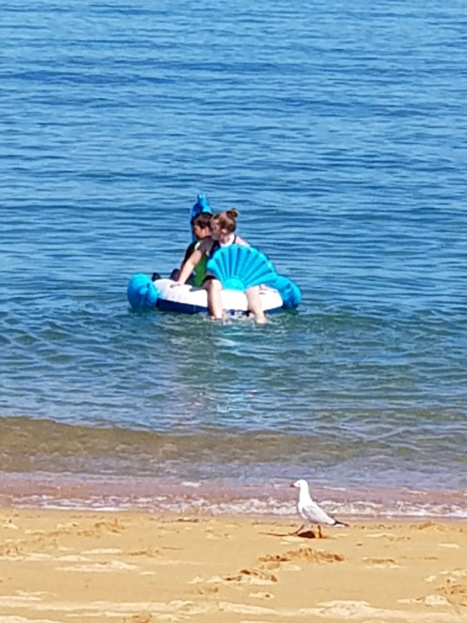 WhatsApp Image 2025-11-01 at 14.42.13_83d75daf.jpg