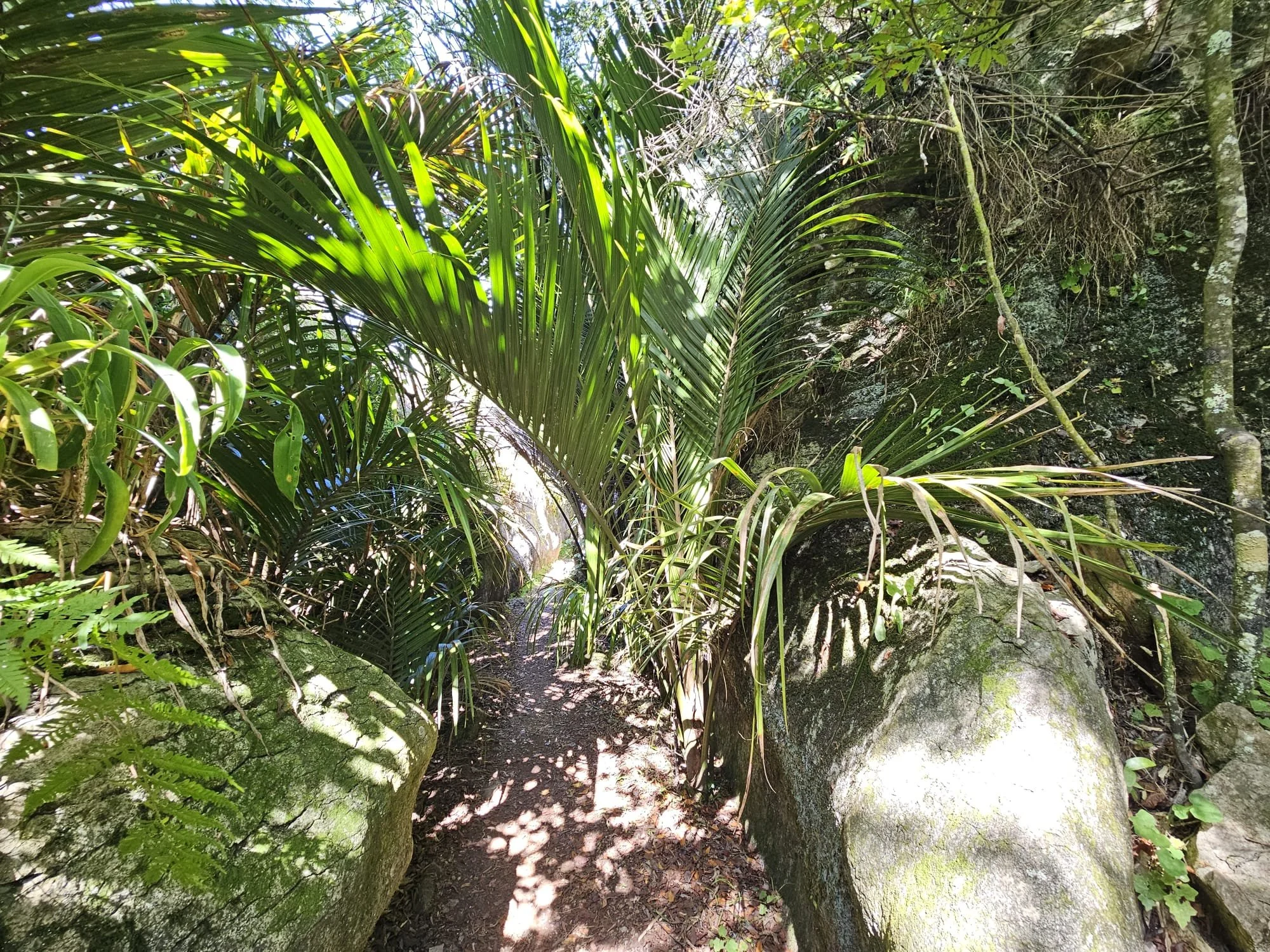 WhatsApp Image 2025-11-05 at 14.32.06_d8a9a65e.jpg