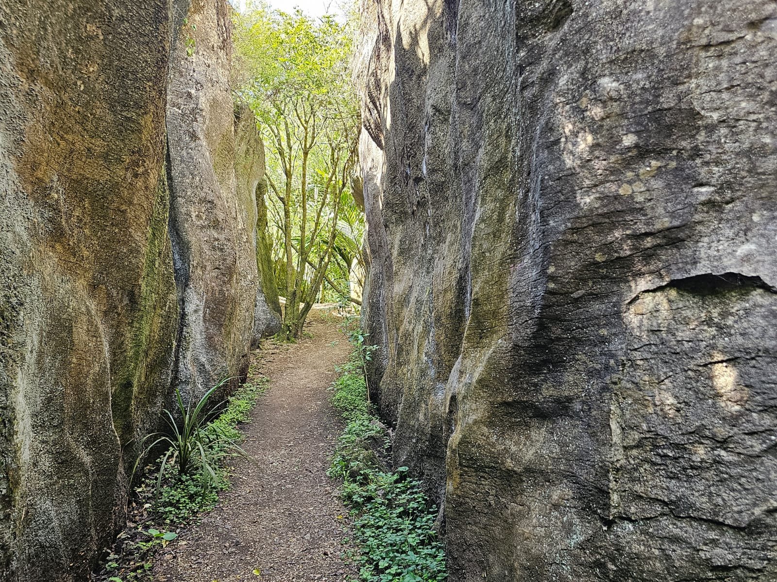 WhatsApp Image 2025-11-05 at 14.32.08_5d92ec68.jpg