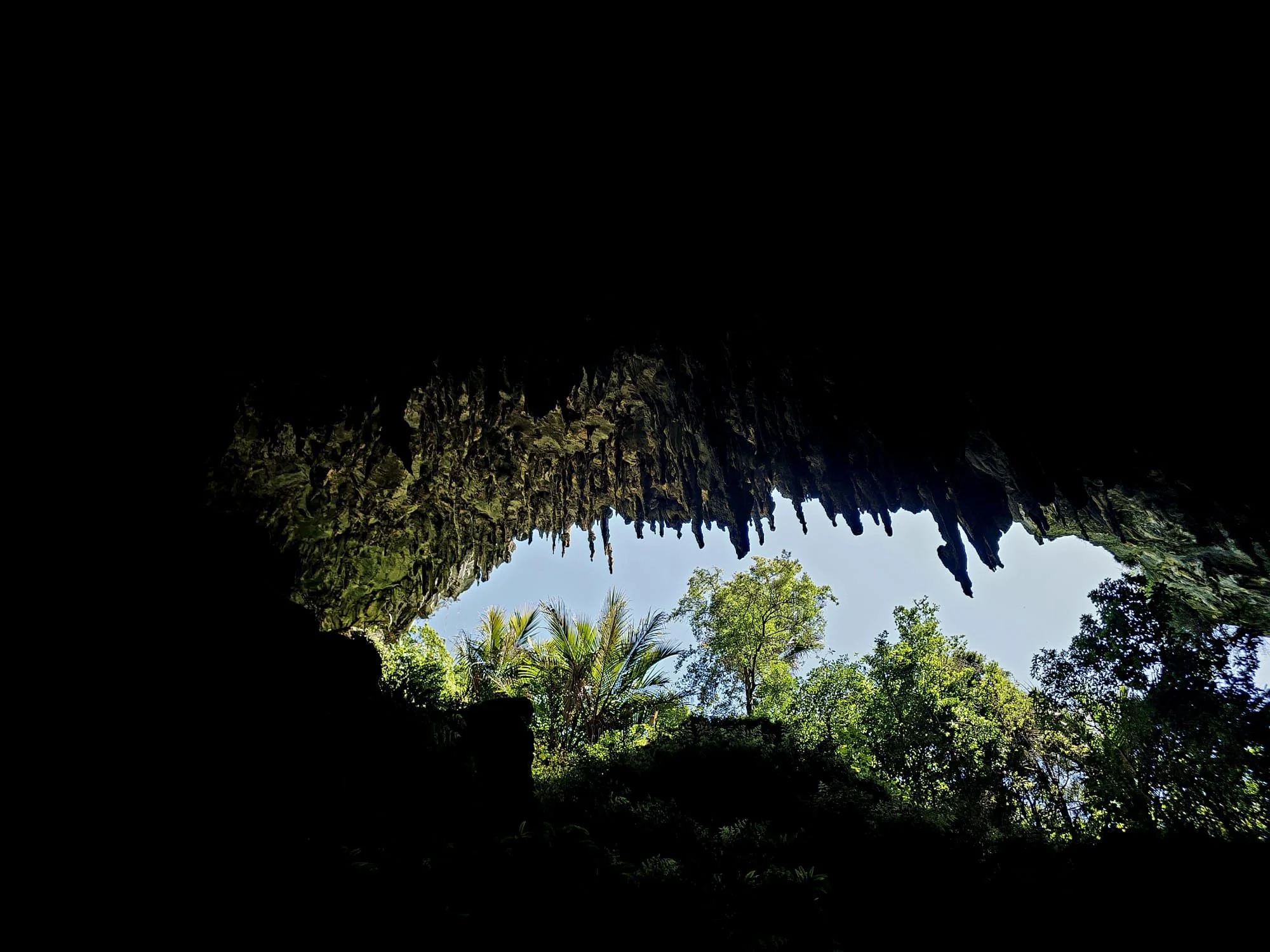 WhatsApp Image 2025-11-09 at 12.24.56_d373a56a.jpg