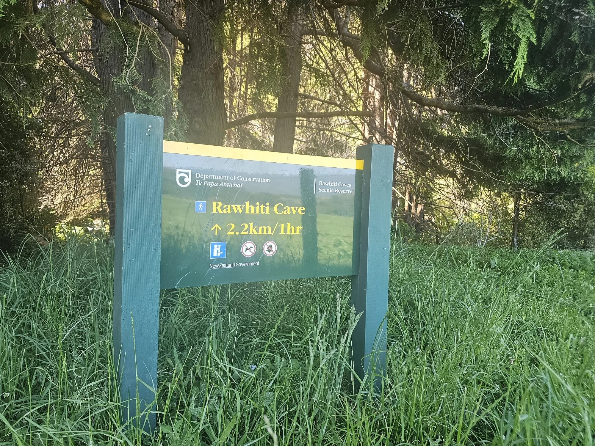 WhatsApp Image 2025-11-09 at 12.24.13_af7e083e.jpg