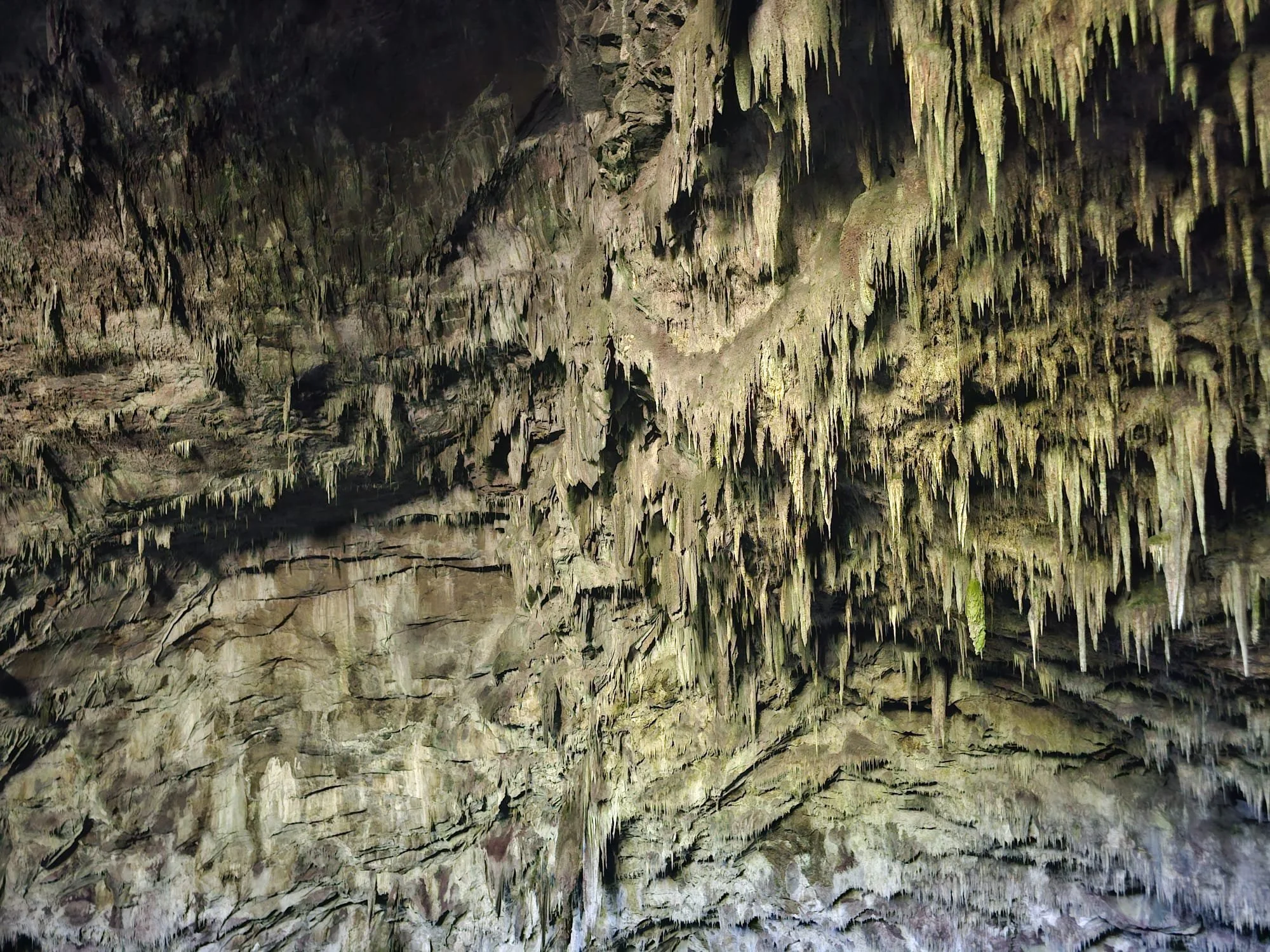 WhatsApp Image 2025-11-09 at 12.24.09_3a3709e0.jpg