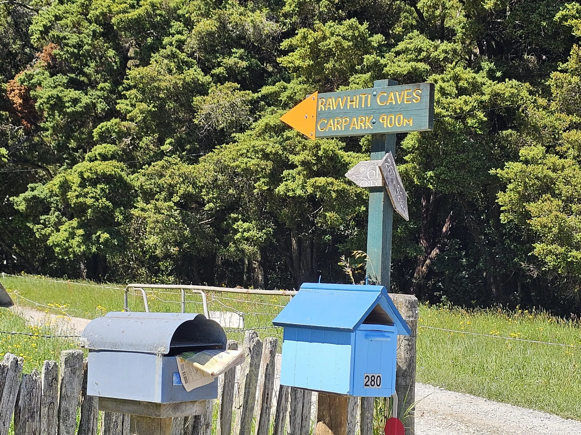 WhatsApp Image 2025-11-09 at 12.23.57_e2dce14a.jpg