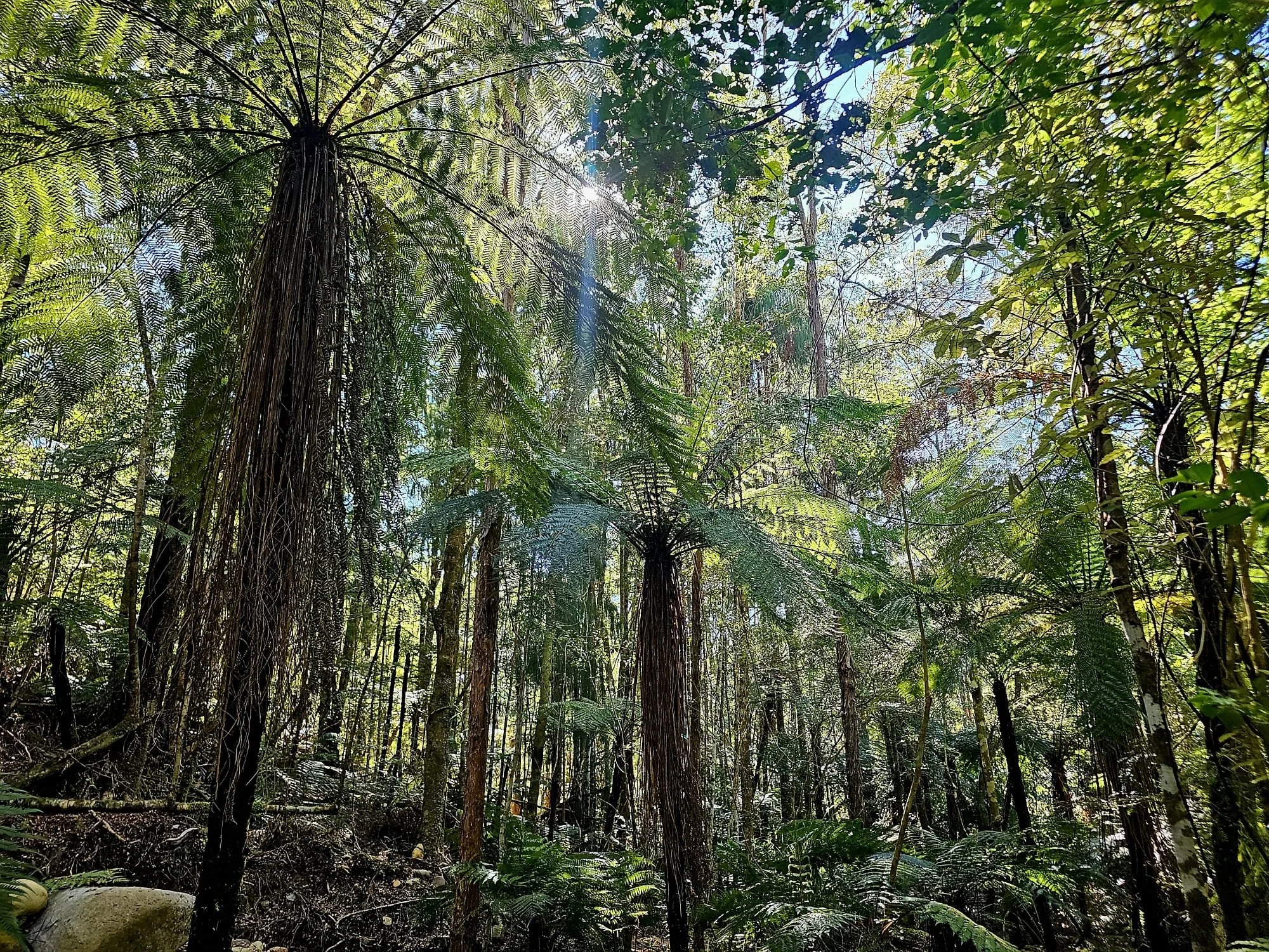 WhatsApp Image 2025-11-28 at 16.48.22_ce4bbf4d.jpg