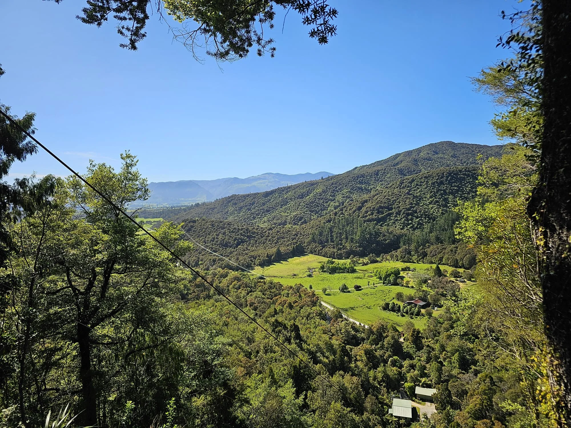 WhatsApp Image 2025-11-28 at 16.48.21_94e68fb2.jpg