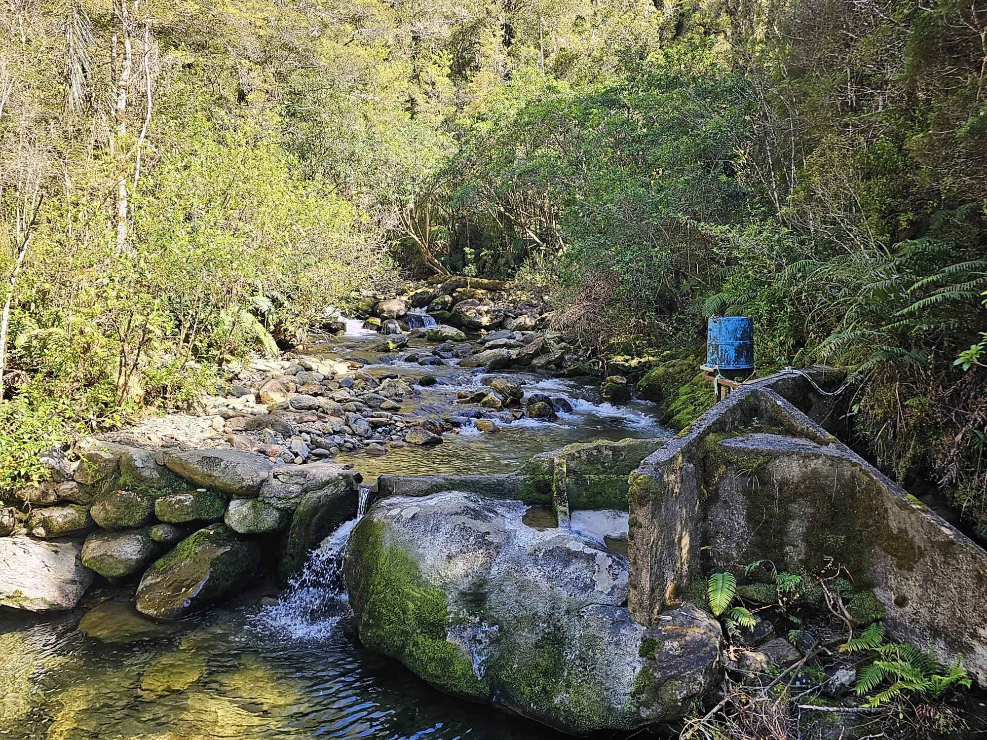 WhatsApp Image 2025-11-28 at 16.48.17_aa5d7bab.jpg