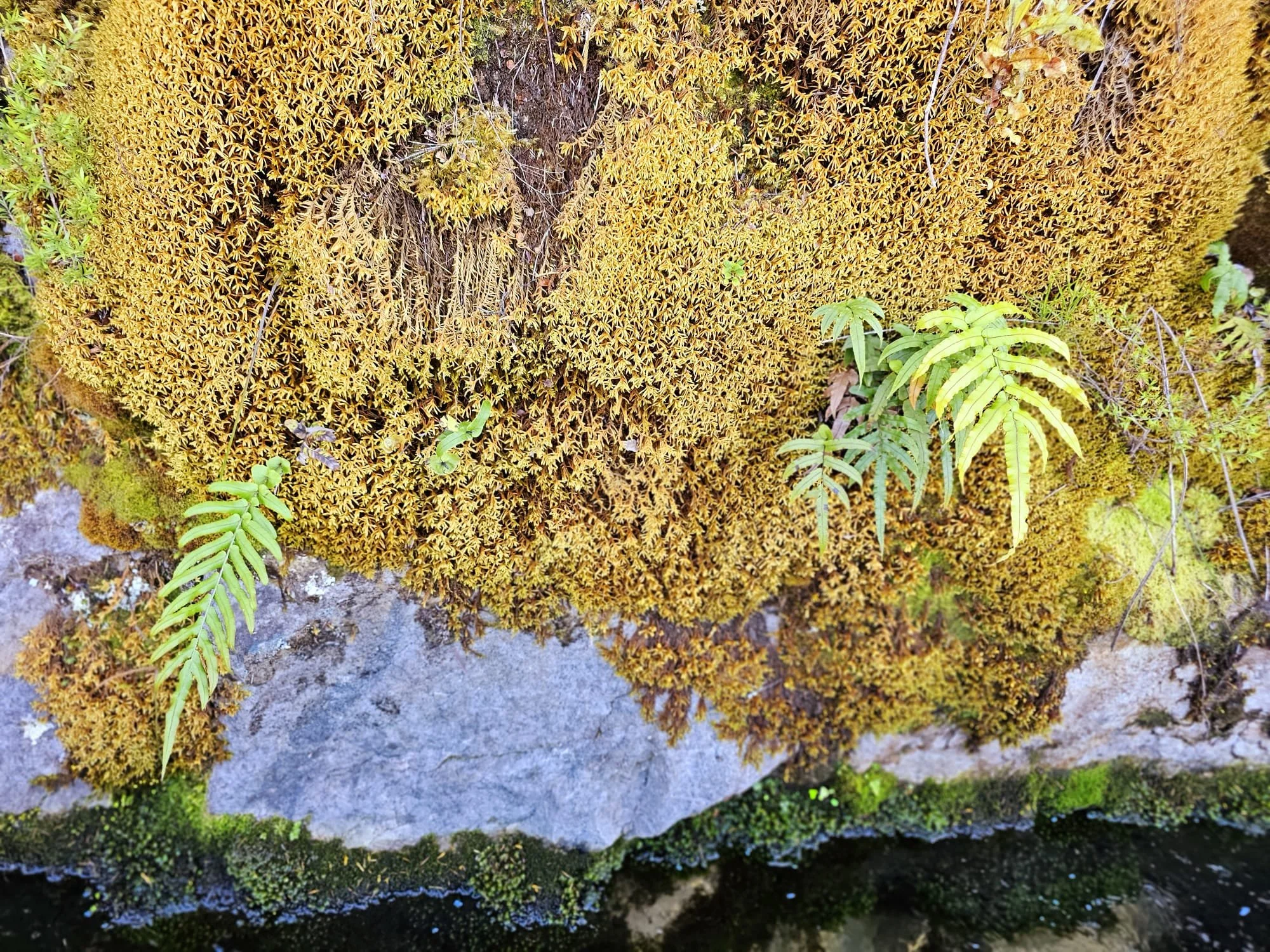 WhatsApp Image 2025-11-28 at 16.34.14_a9ef413b.jpg