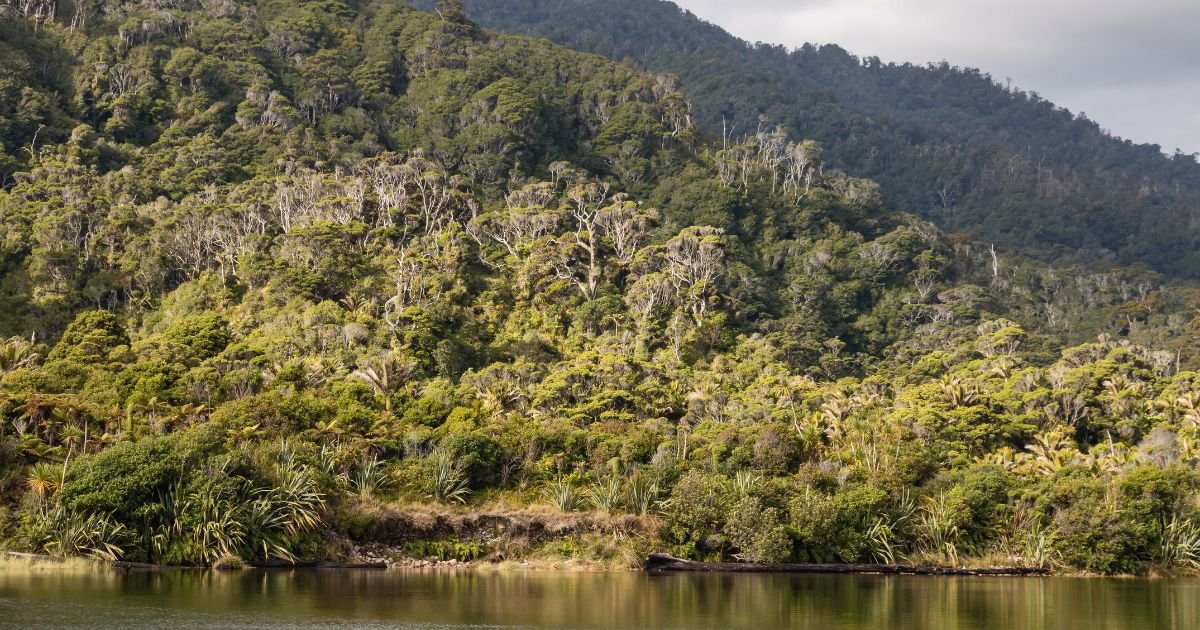 Untitled design (17).jpg