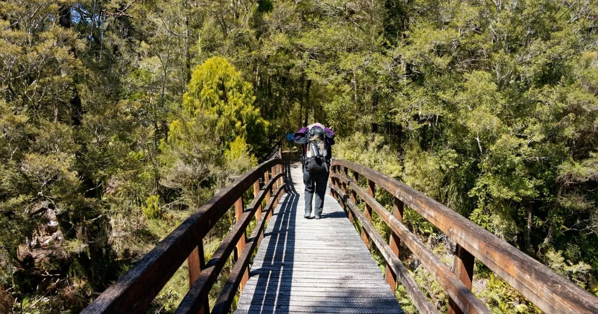 Untitled design (16).jpg