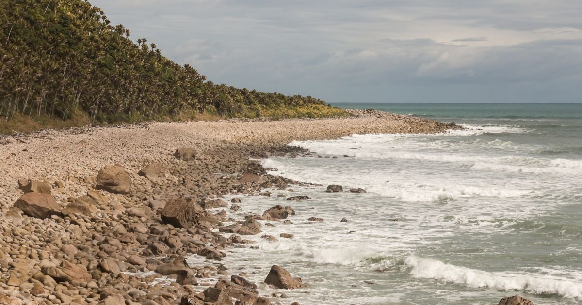 Untitled design (15).jpg