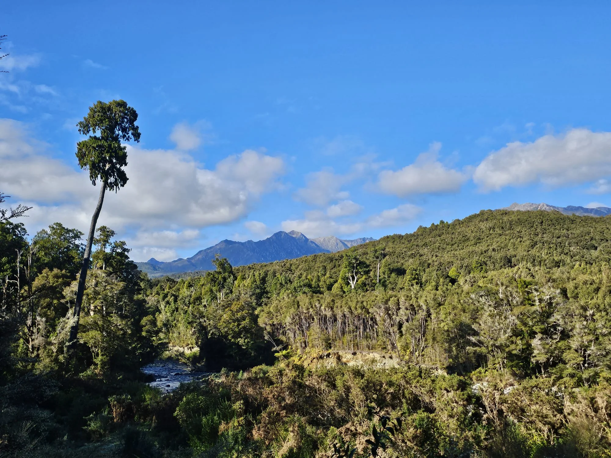 The Heaphy Track A Great Walk Like No Other