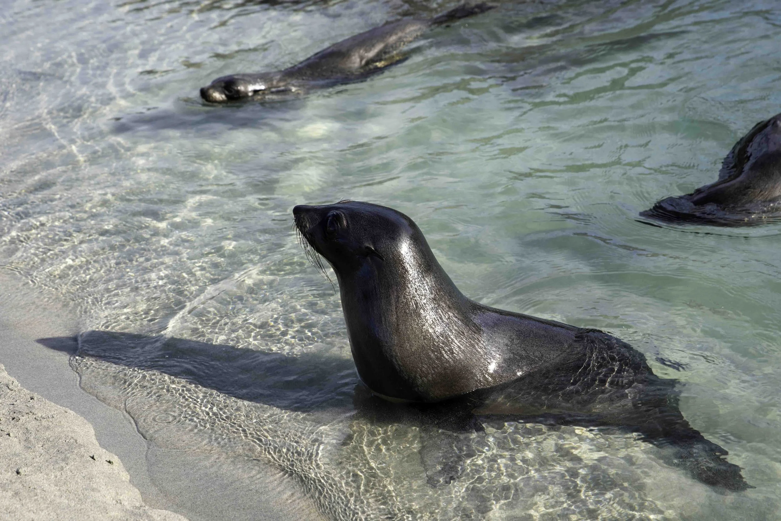 _IT19819.jpg