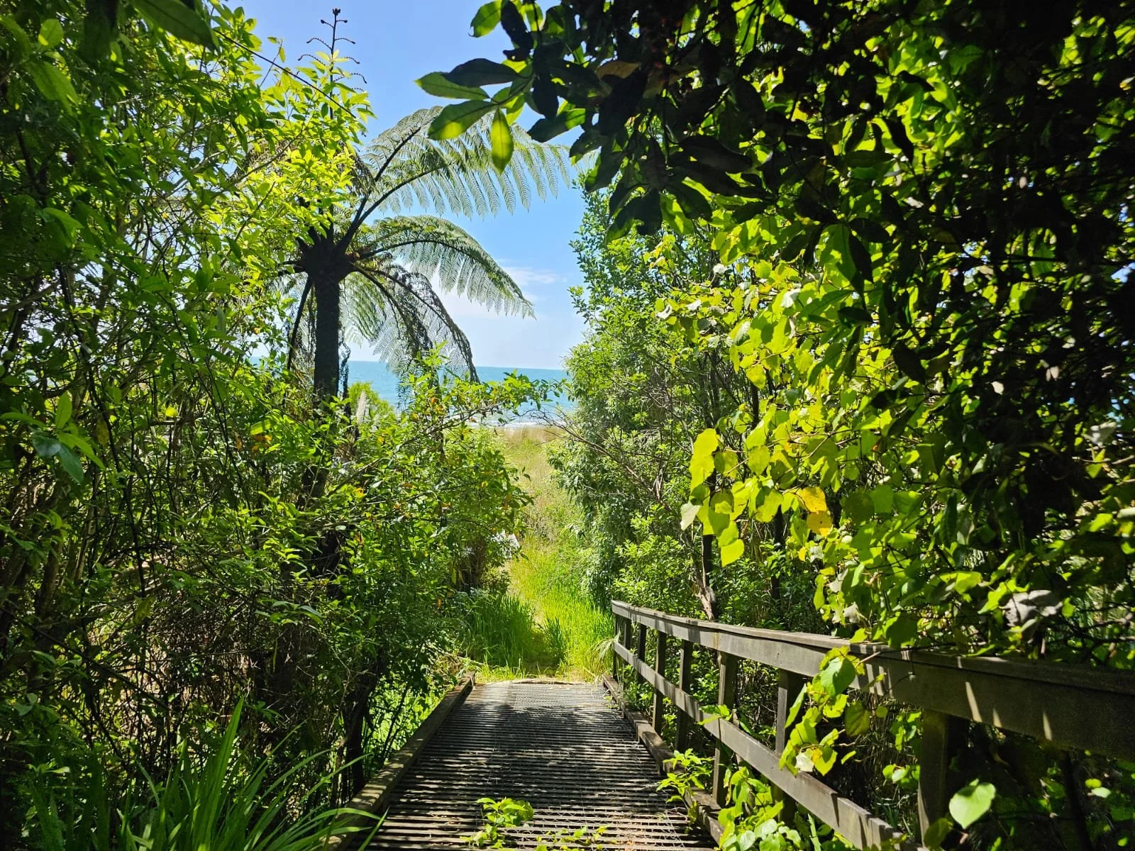 WhatsApp Image 2025-11-23 at 19.28.44_fa25f217.jpg