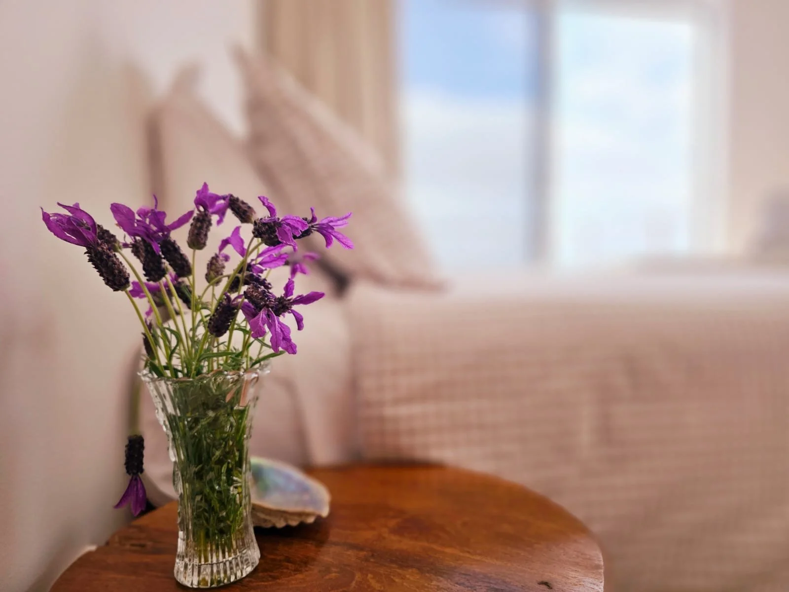 WhatsApp Image 2025-11-23 at 19.28.49_917e2f30.jpg