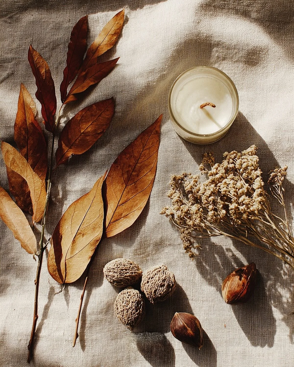 🍁 Fall is officially here!
It&rsquo;s the perfect time to pause, take a breath, and clear out what&rsquo;s been weighing you down.

Just like the trees let go of their leaves, we get to release anything that&rsquo;s no longer serving us &mdash; old 