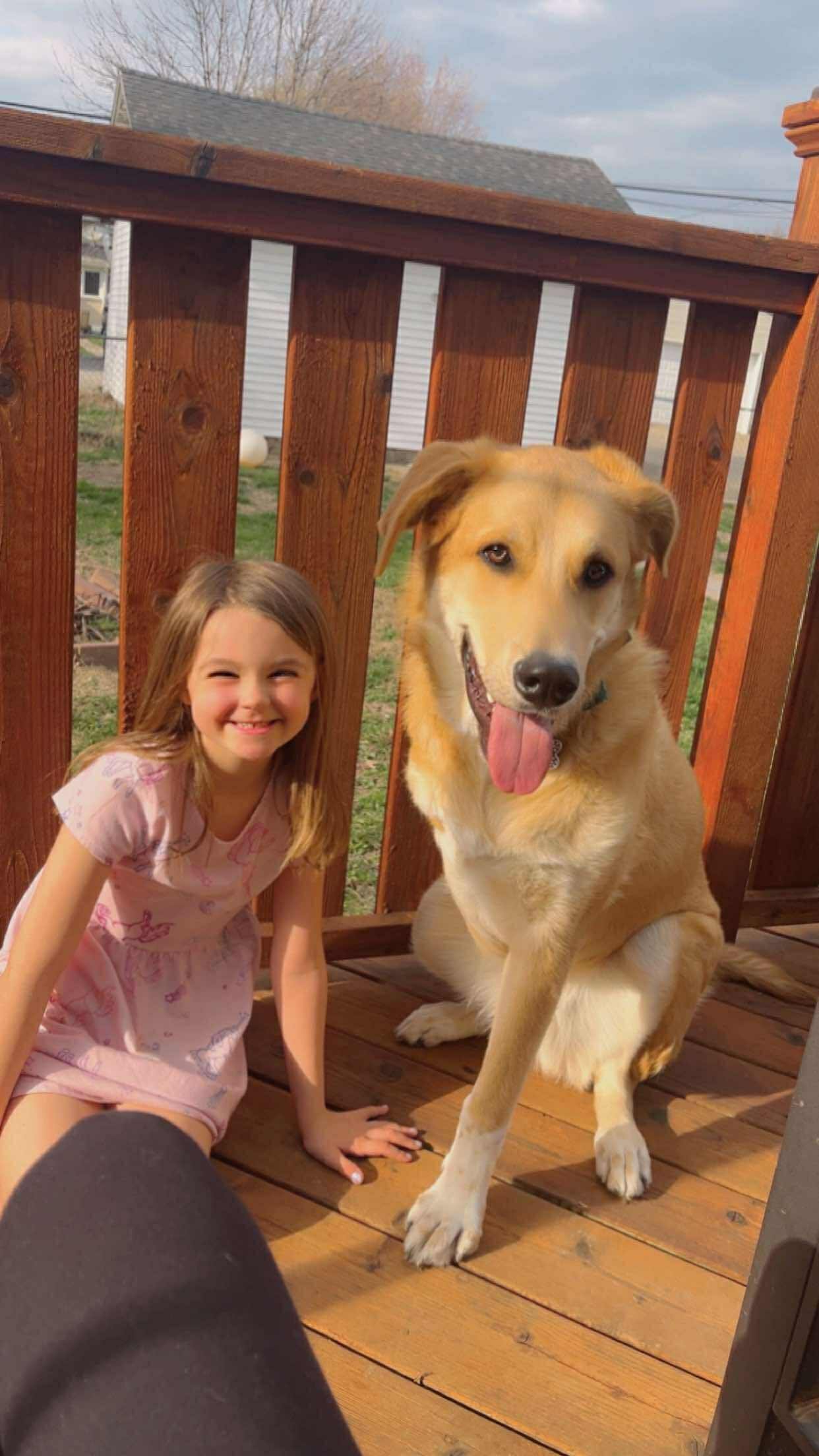 Webinar: Safe Interactions Between Dogs & Kids