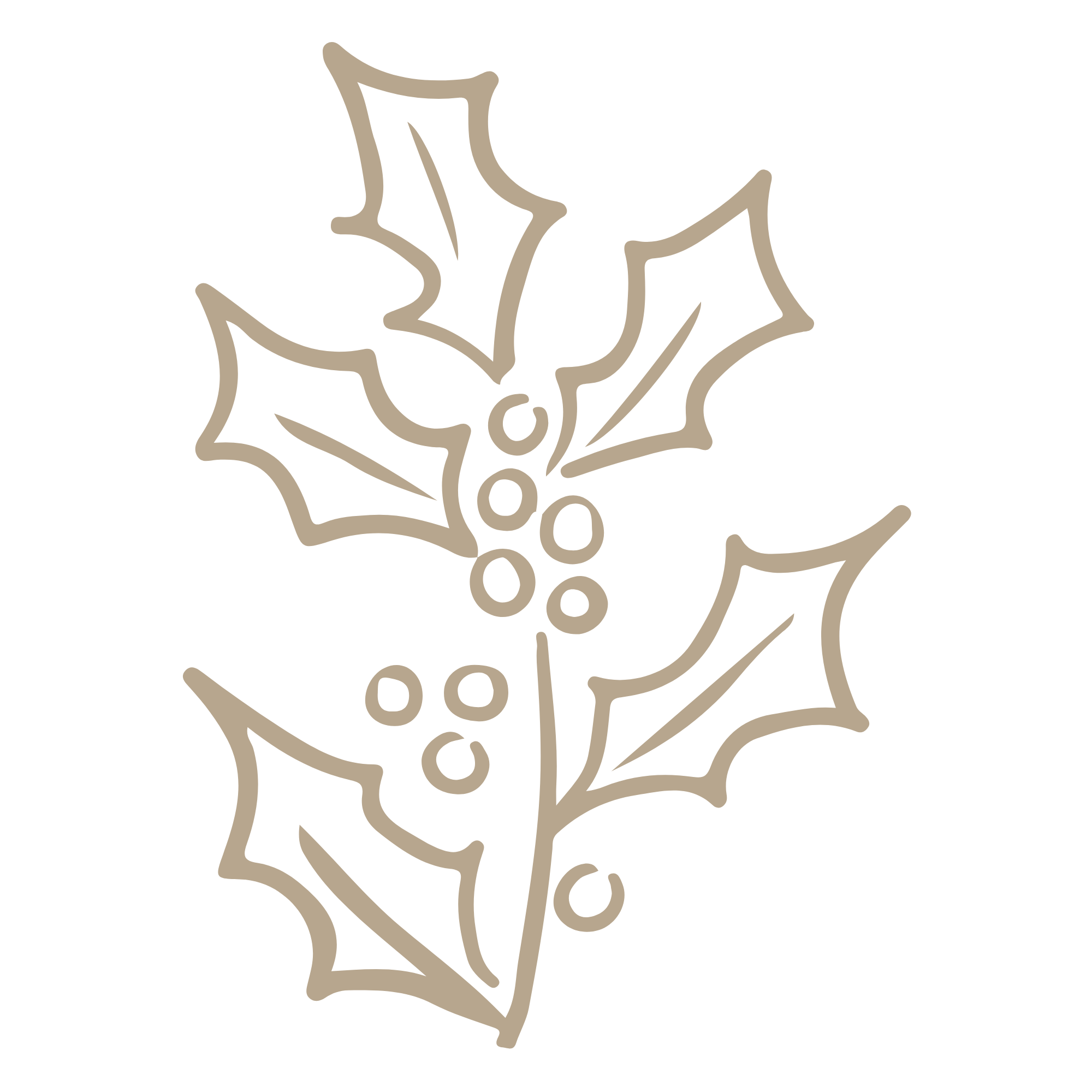 Line drawing of holly leaves and berries on transparent background