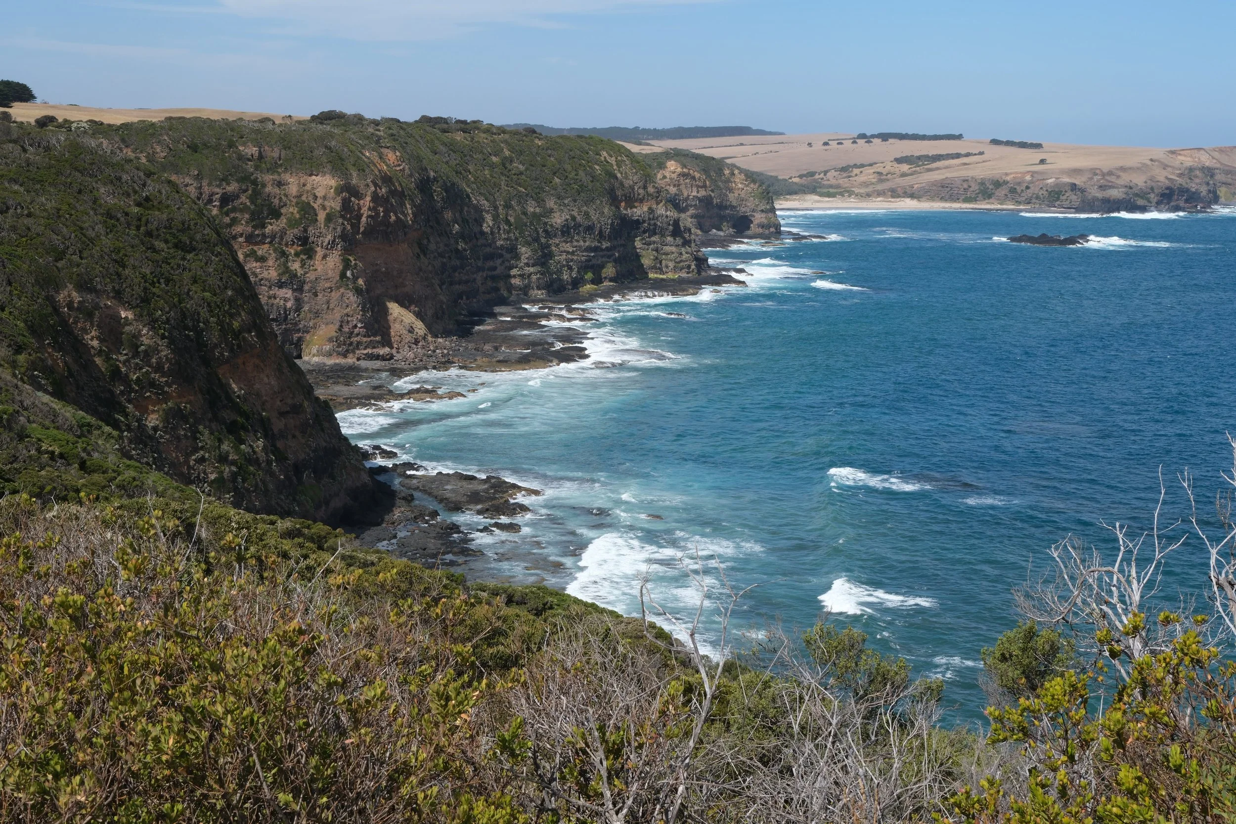 Lab receives ARC Discovery Project funding for research on community assembly and biodiversity maintenance