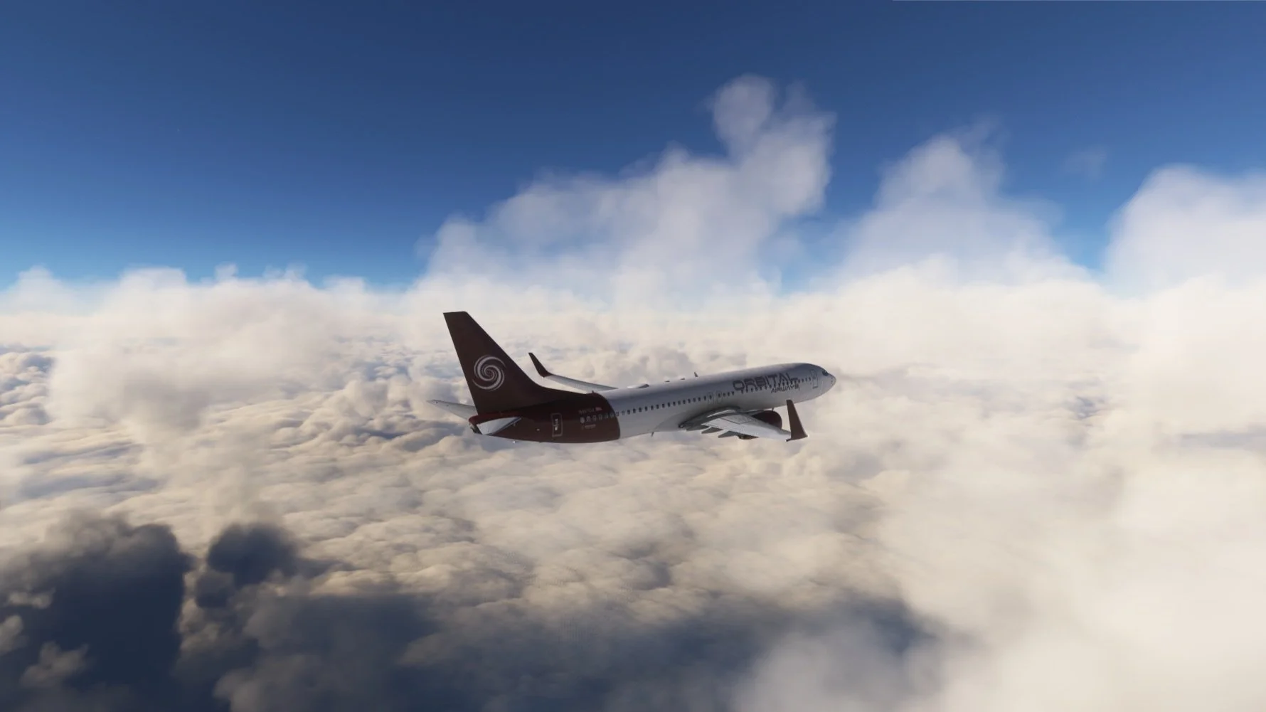 "Boeing 737-800 at cruise"