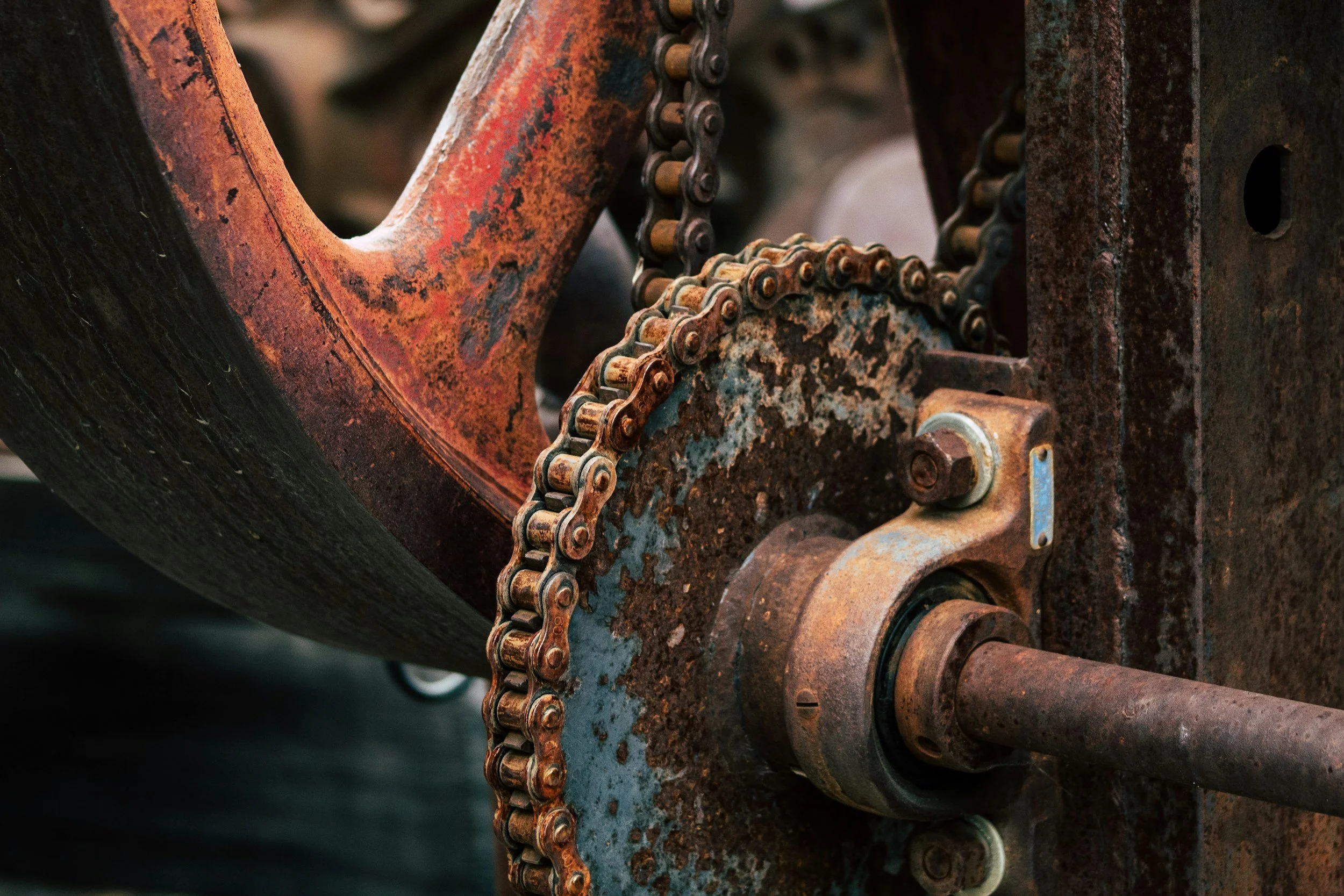 unsplash-image-Fc-0gi4YylM.jpg