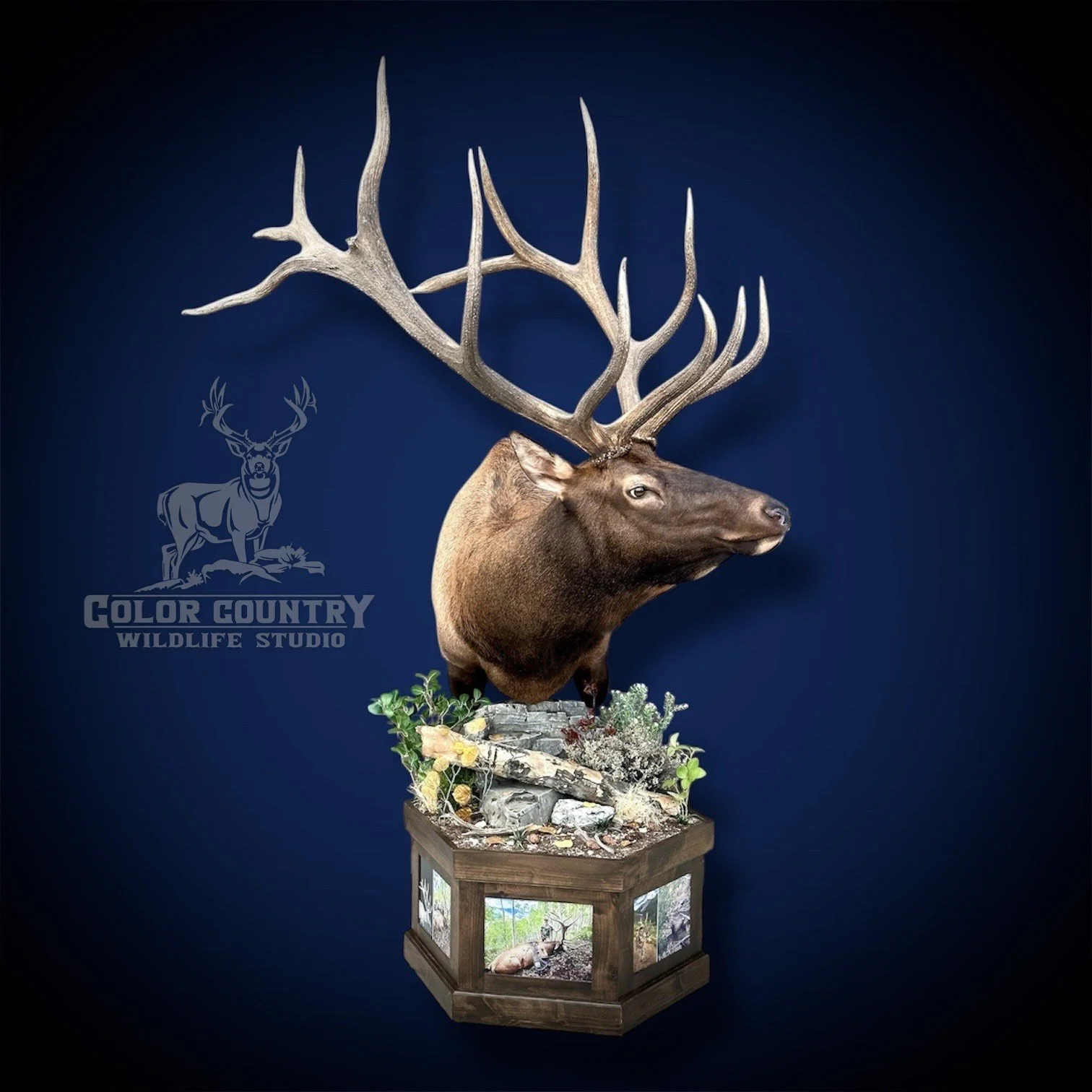 eZy Watermark_24-01-2026_10-25-24-2340AM.jpeg