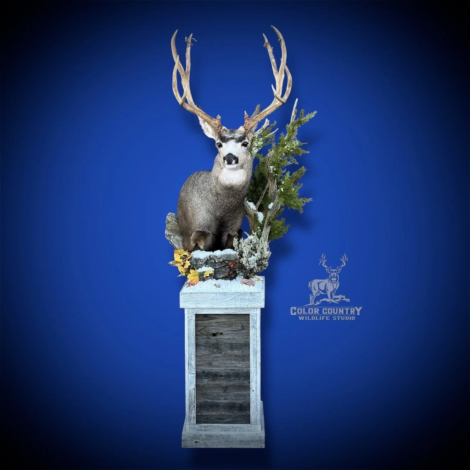 eZy Watermark_08-02-2026_01-37-57-5020PM.jpeg